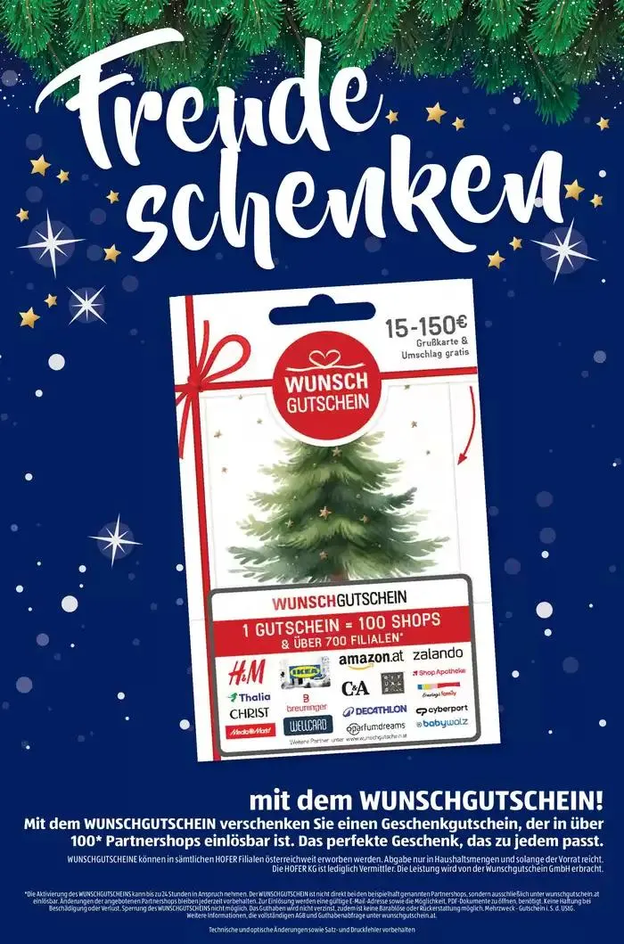 Blättern Sie online im HOFER Flugblatt von 27. November bis 11. Dezember 2024 - Flugblätt seite 21