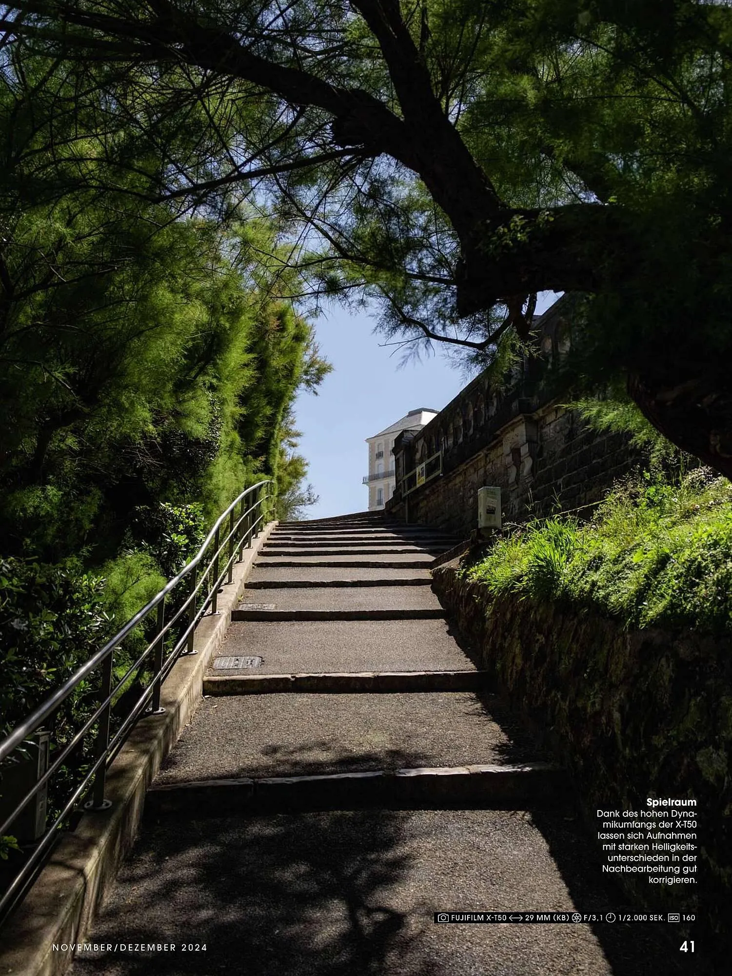 RINGFOTO Flugblatt von 1. November bis 31. Dezember 2024 - Flugblätt seite  41