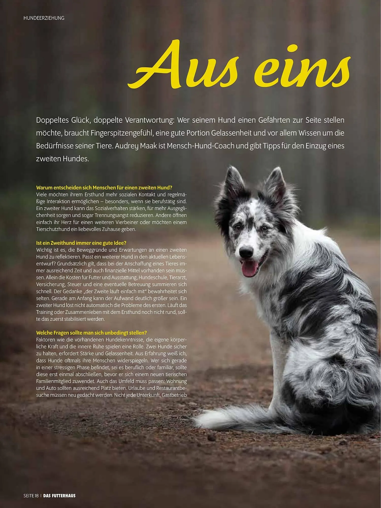 Das Futterhaus Prospekt von 17. Dezember bis 6. Jänner 2026 - Flugblätt seite  18