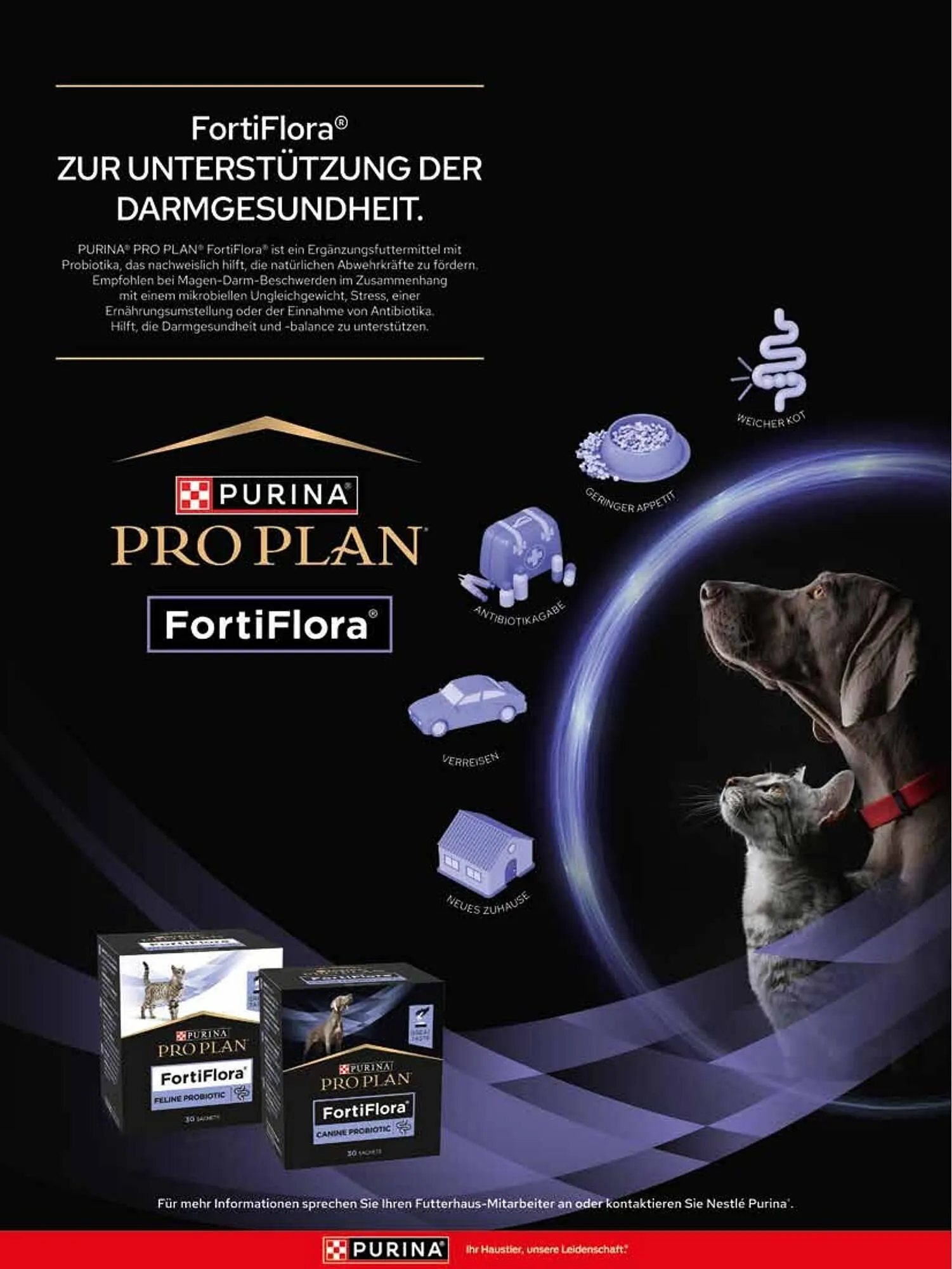 Das Futterhaus Prospekt von 17. Dezember bis 6. Jänner 2026 - Flugblätt seite  8