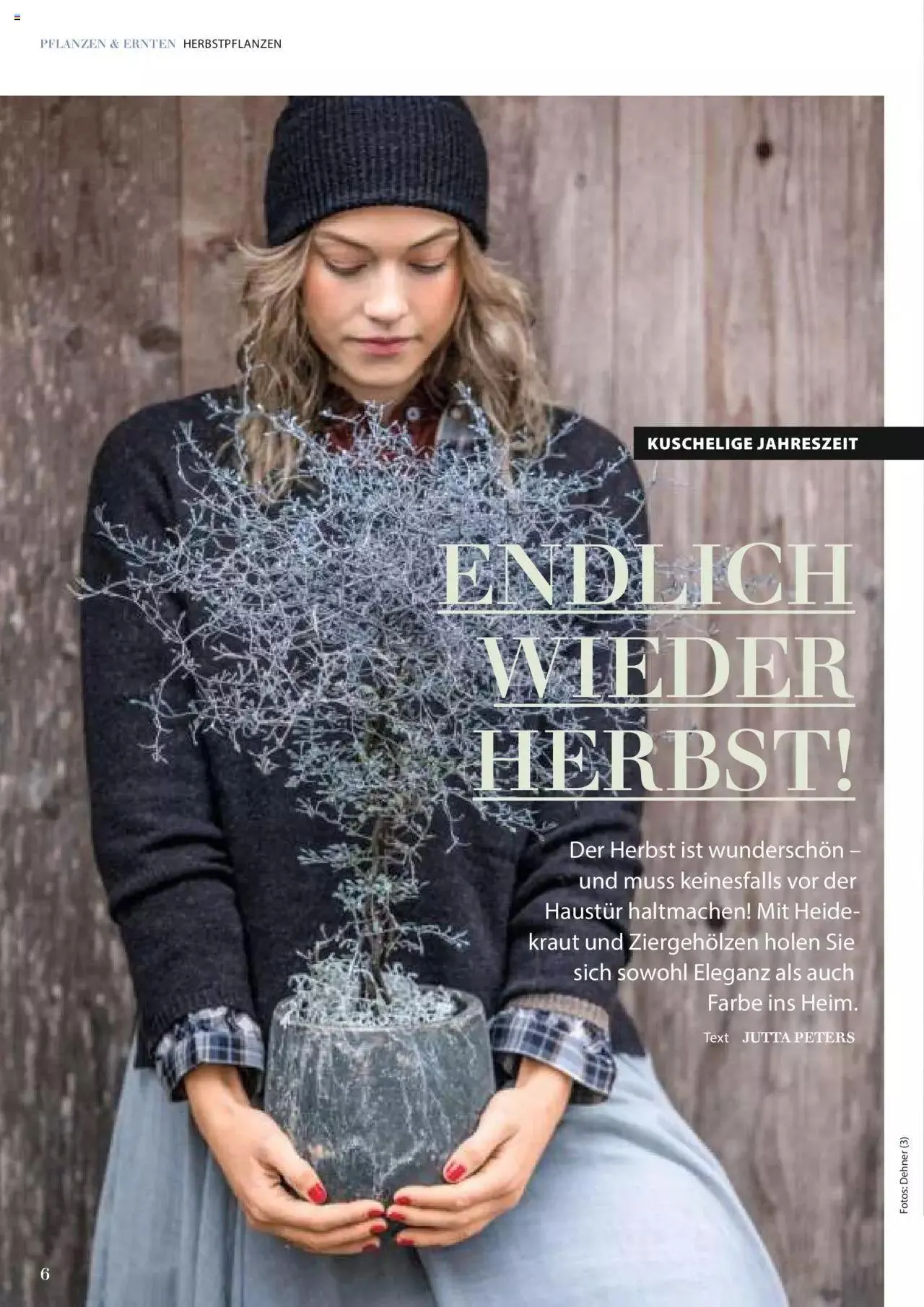 Dehner Flugblatt von 10. Oktober bis 31. Dezember 2023 - Flugblätt seite  6