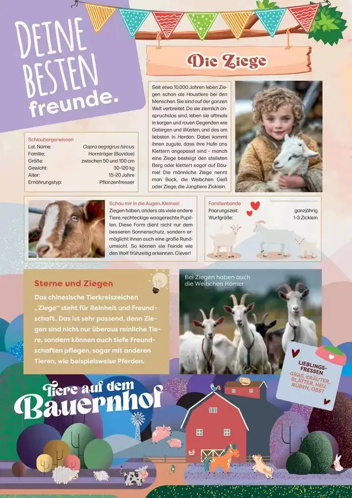 Angebote ZOO & Co von 29. November bis 13. Dezember 2024 - Flugblätt seite 64