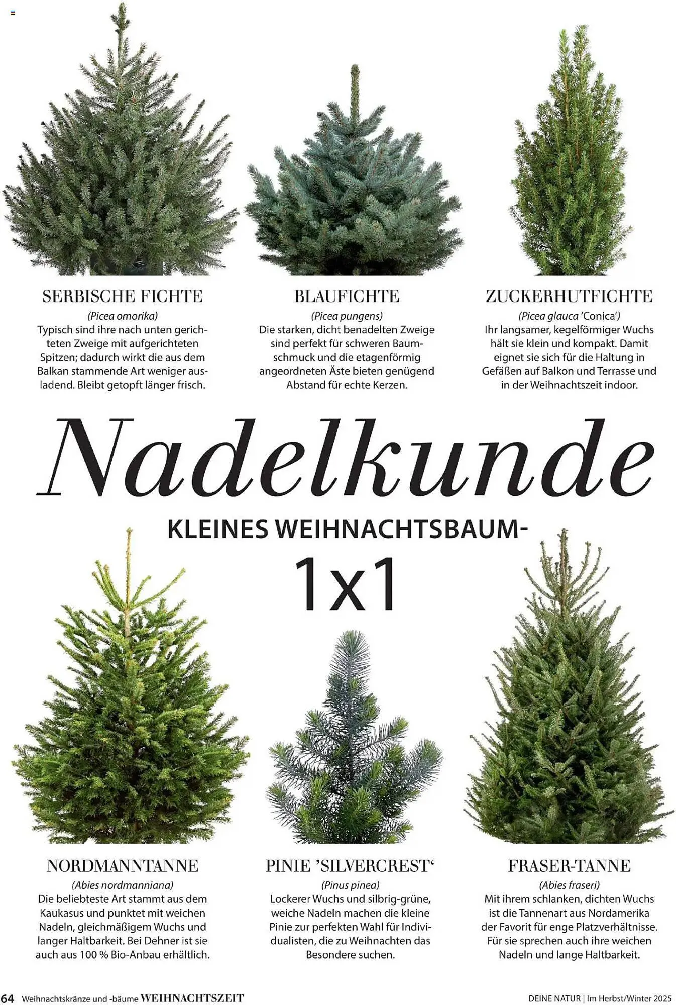 Dehner Flugblatt von 10. Oktober bis 30. November 2025 - Flugblätt seite 64