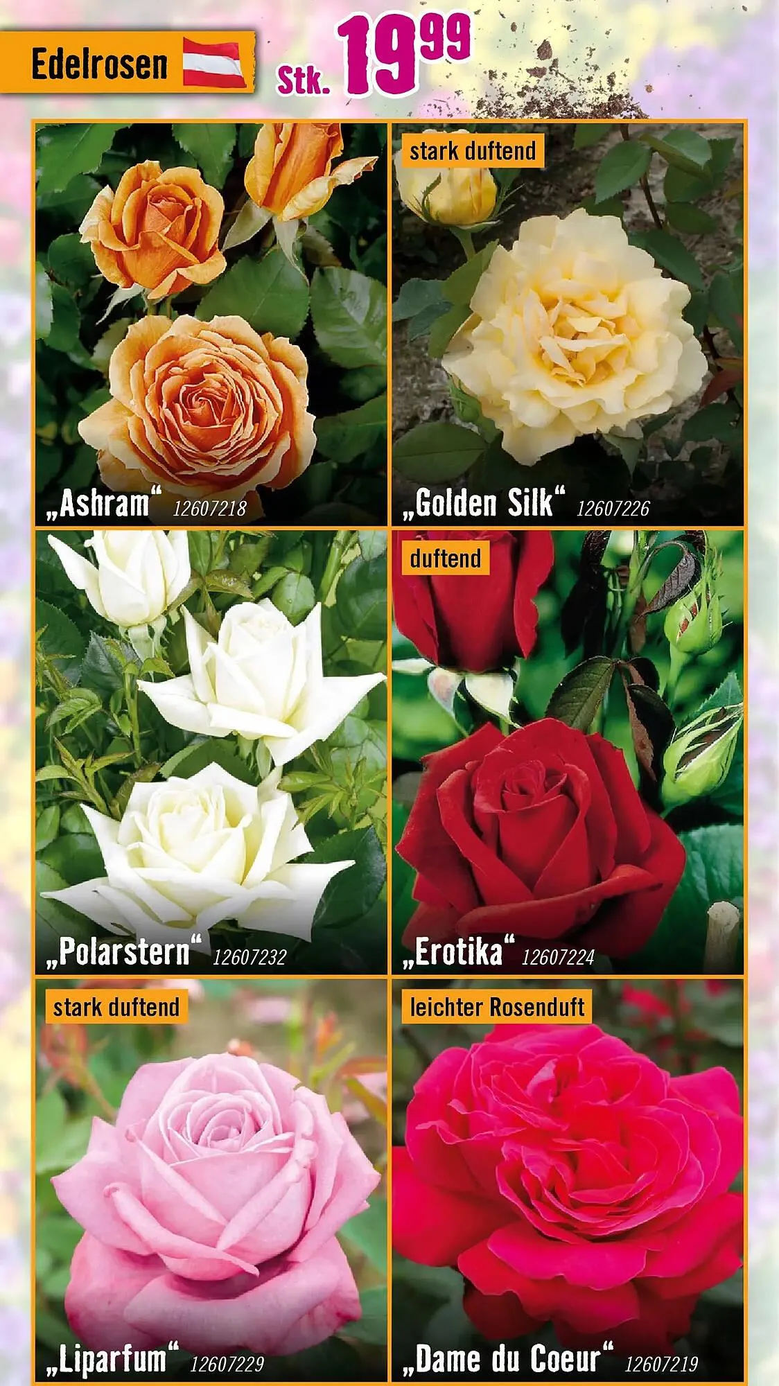 Hornbach Flugblatt von 18. März bis 16. April 2026 - Flugblätt seite 18