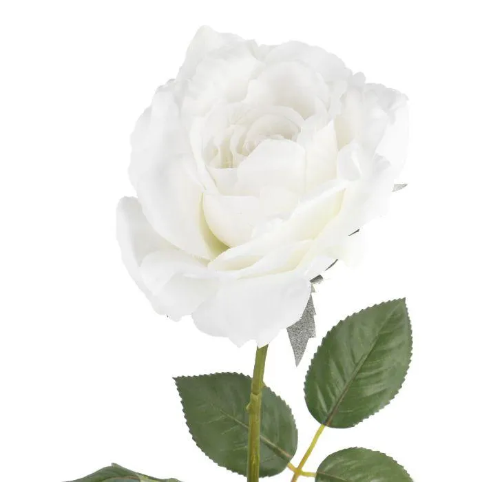 Rose Alice, weiß, 70 cm