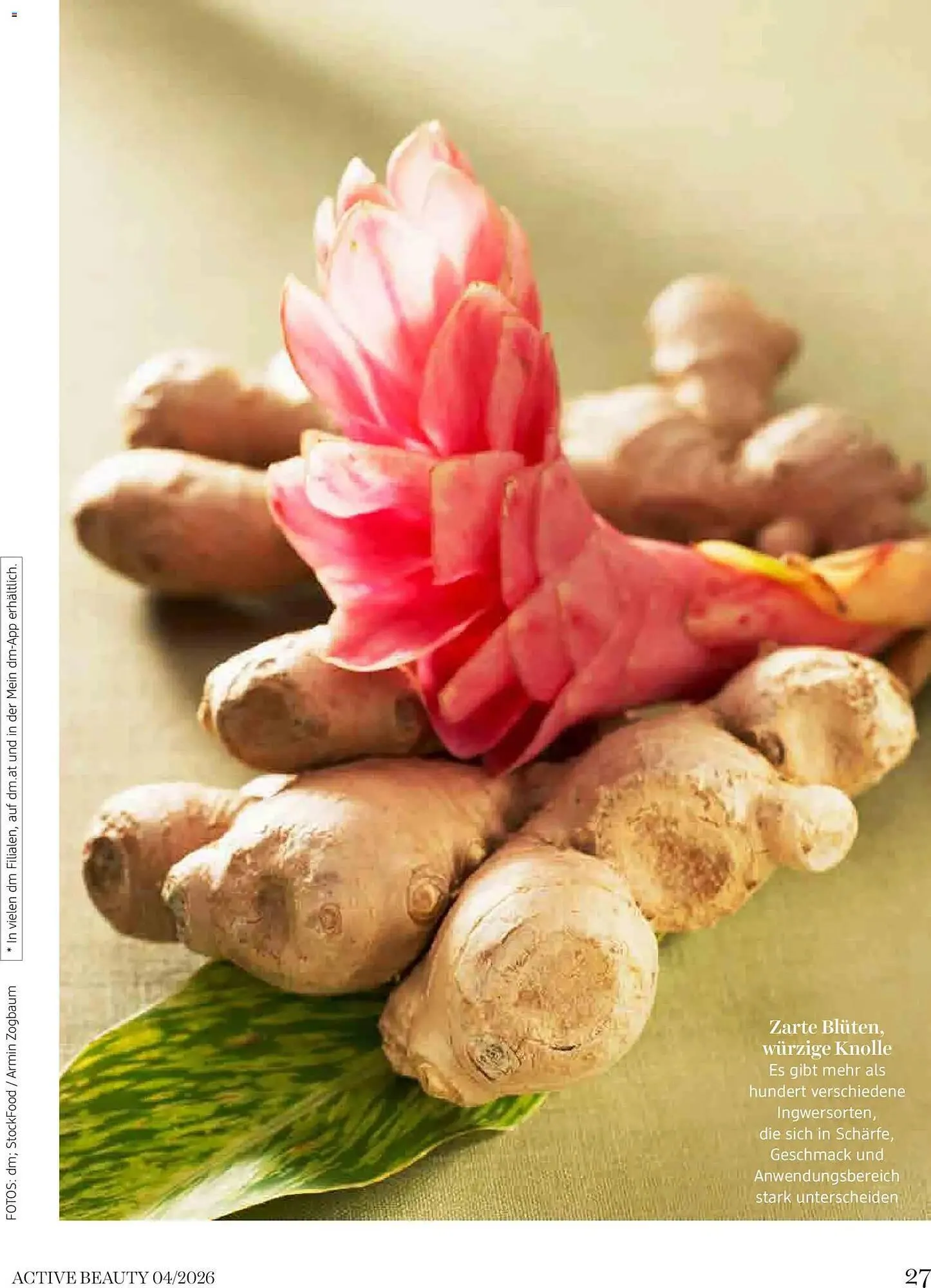 Dm Flugblatt von 1. April bis 30. April 2026 - Flugblätt seite  27