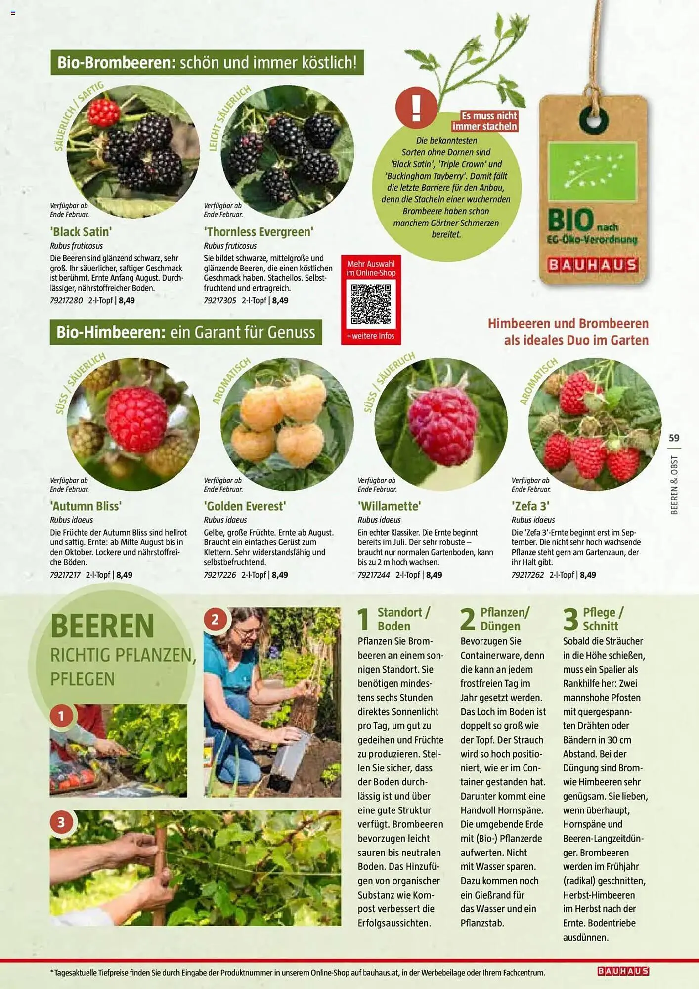 Bauhaus Flugblatt von 1. Juli bis 6. März 2026 - Flugblätt seite  59