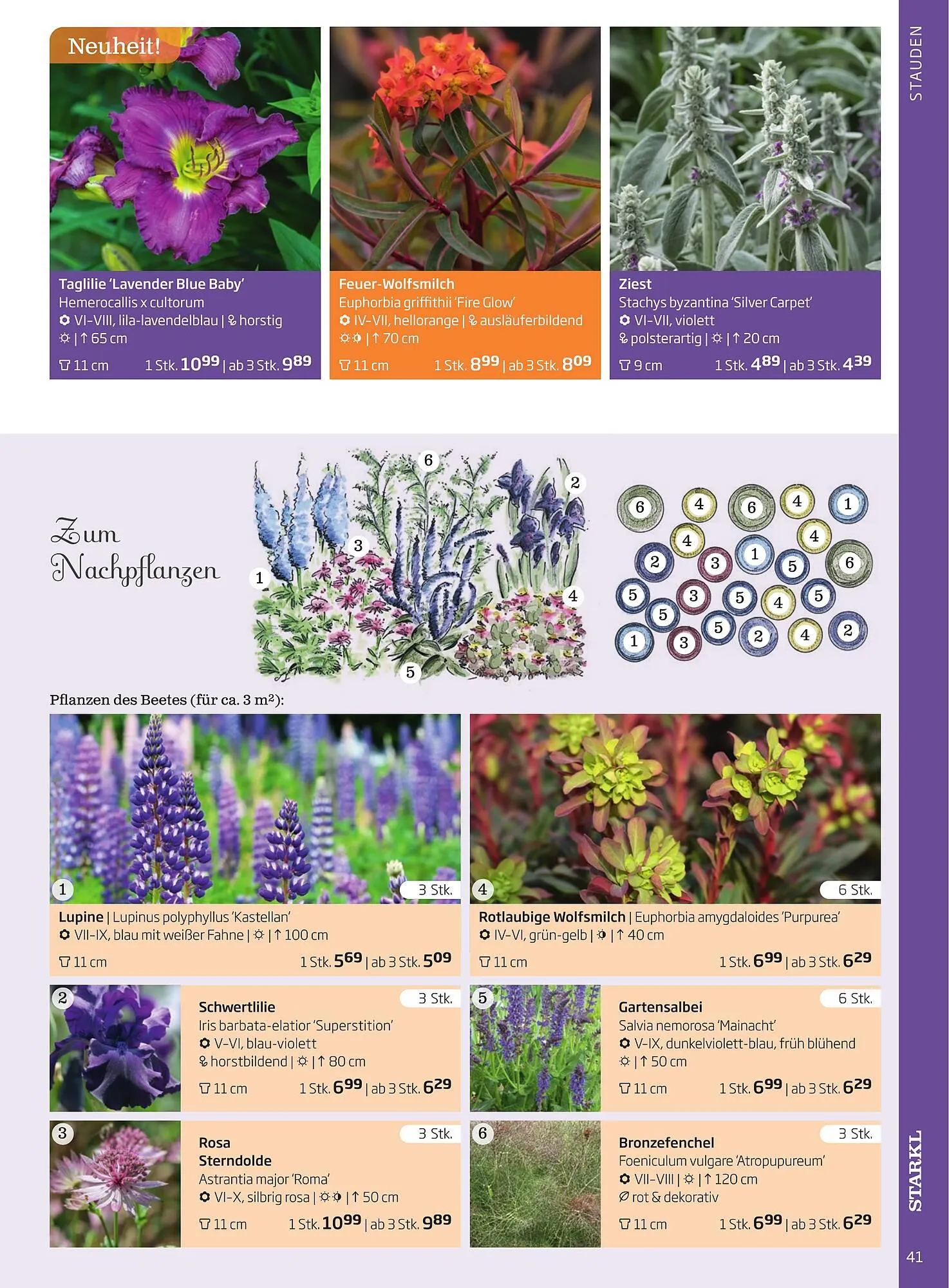Starkl Flugblatt von 1. Jänner bis 31. Dezember 2023 - Flugblätt seite 41