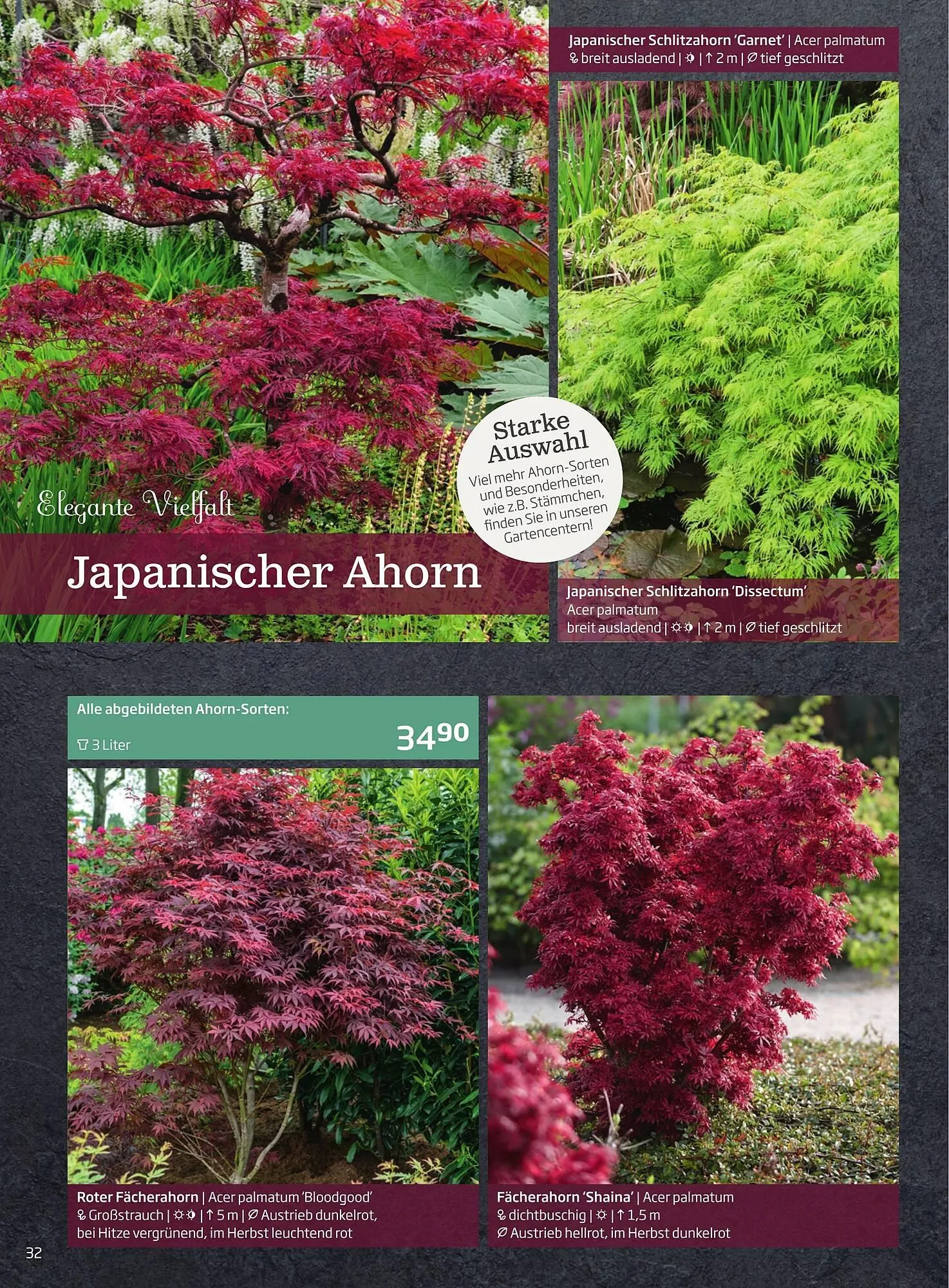 Starkl Flugblatt von 6. Juni bis 31. Dezember 2025 - Flugblätt seite  32