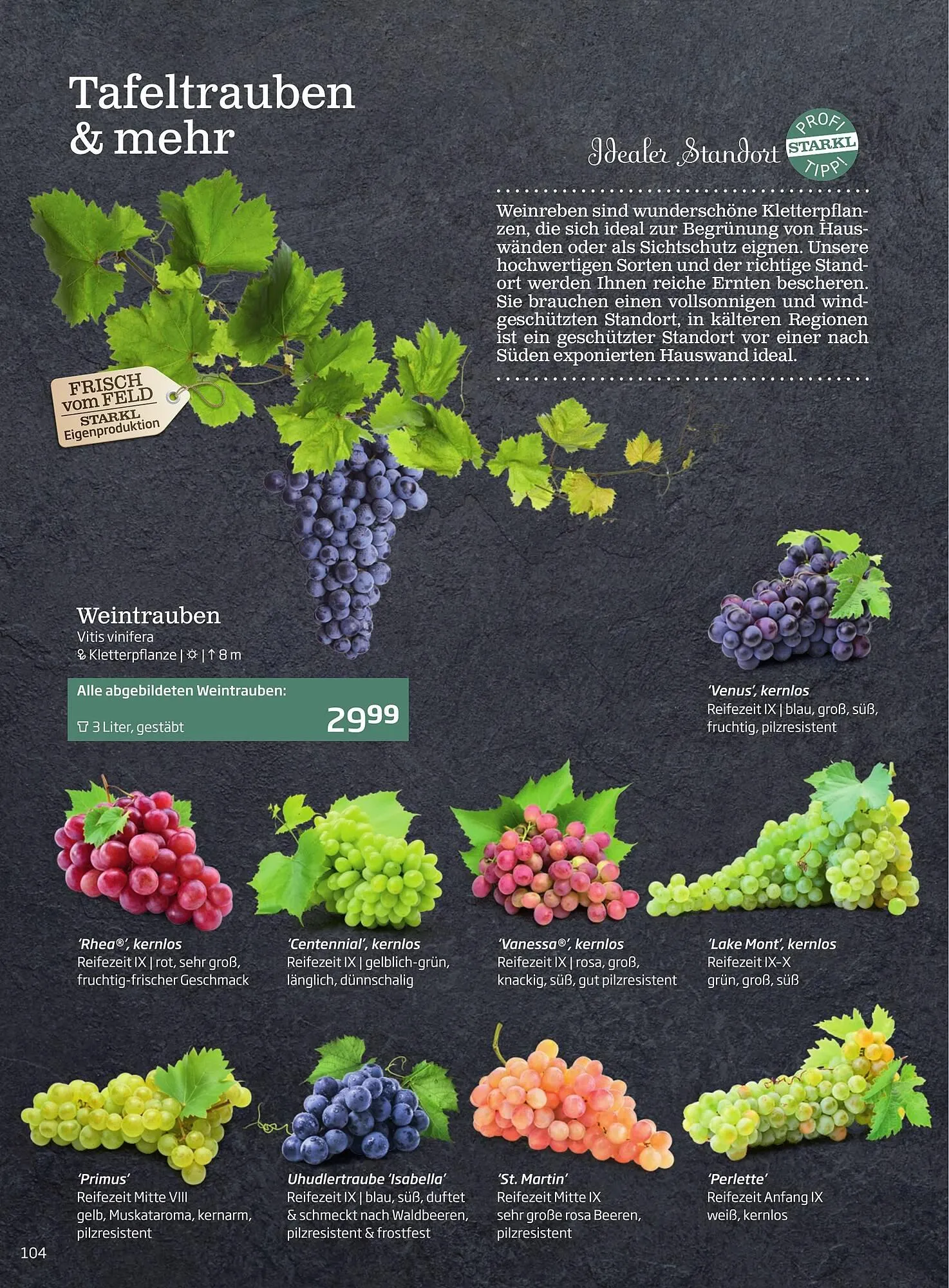 Starkl Flugblatt von 6. Juni bis 31. Dezember 2025 - Flugblätt seite 104