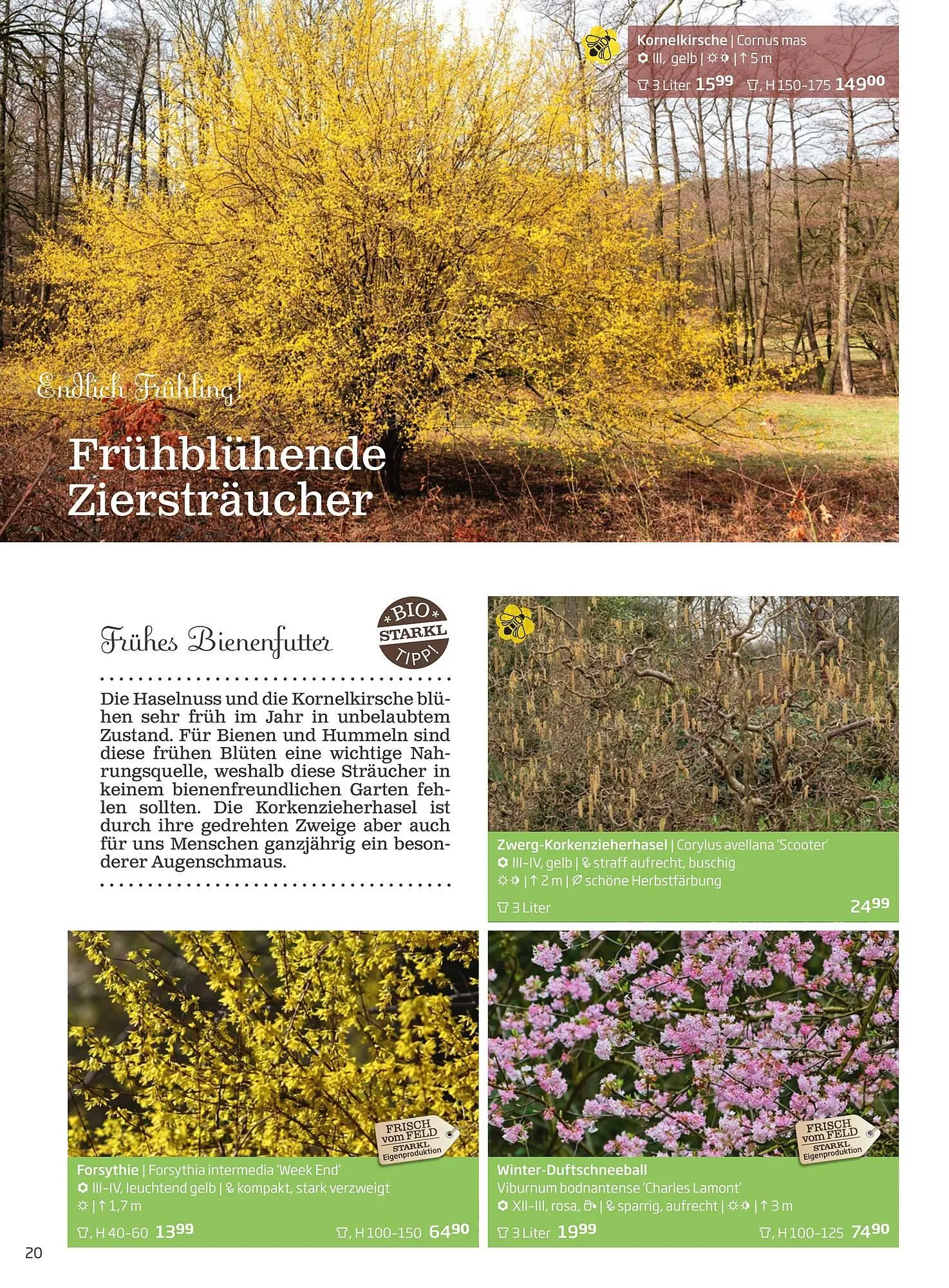 Starkl Flugblatt von 6. Juni bis 31. Dezember 2025 - Flugblätt seite  20