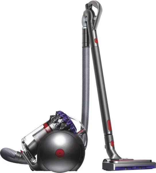 Dyson Bodenstaubsauger Big Ball Parquet 2 - Violett
