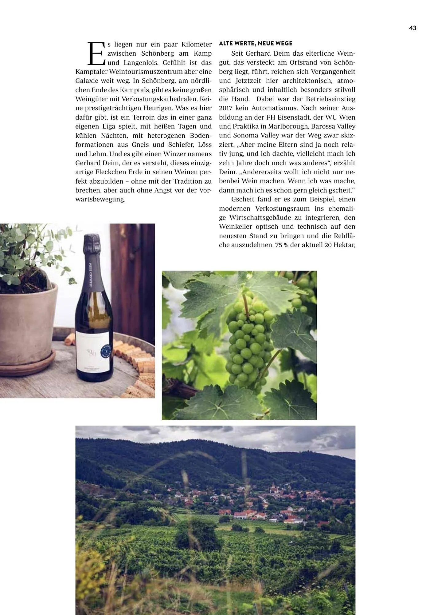 Transgourmet Flugblatt von 1. September bis 30. November 2025 - Flugblätt seite  45