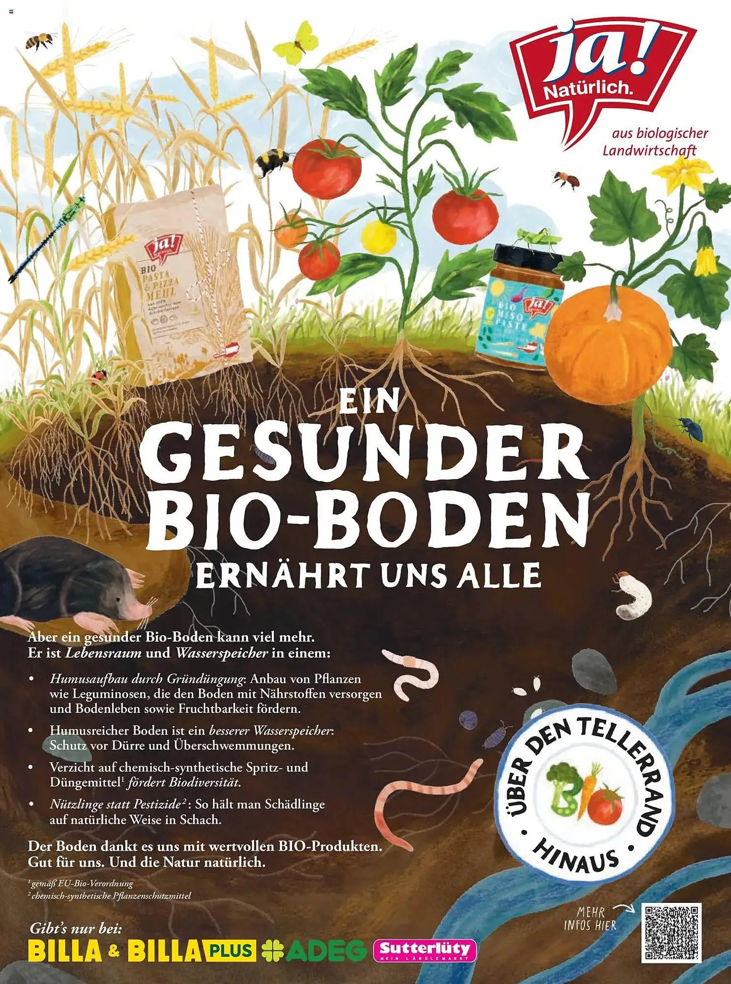 Billa Flugblatt von 1. März bis 30. April 2026 - Flugblätt seite  74