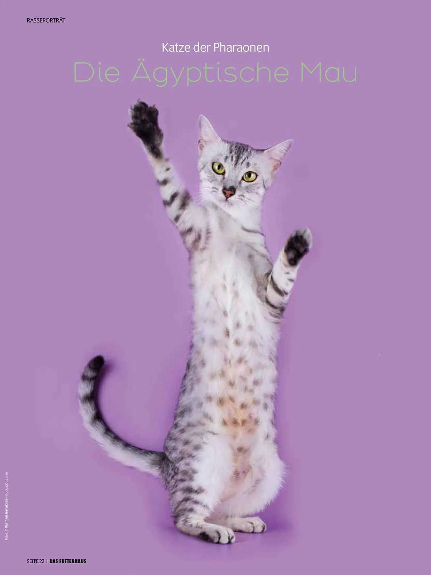 Das Futterhaus Flugblatt von 1. August bis 3. Oktober 2024 - Flugblätt seite 22