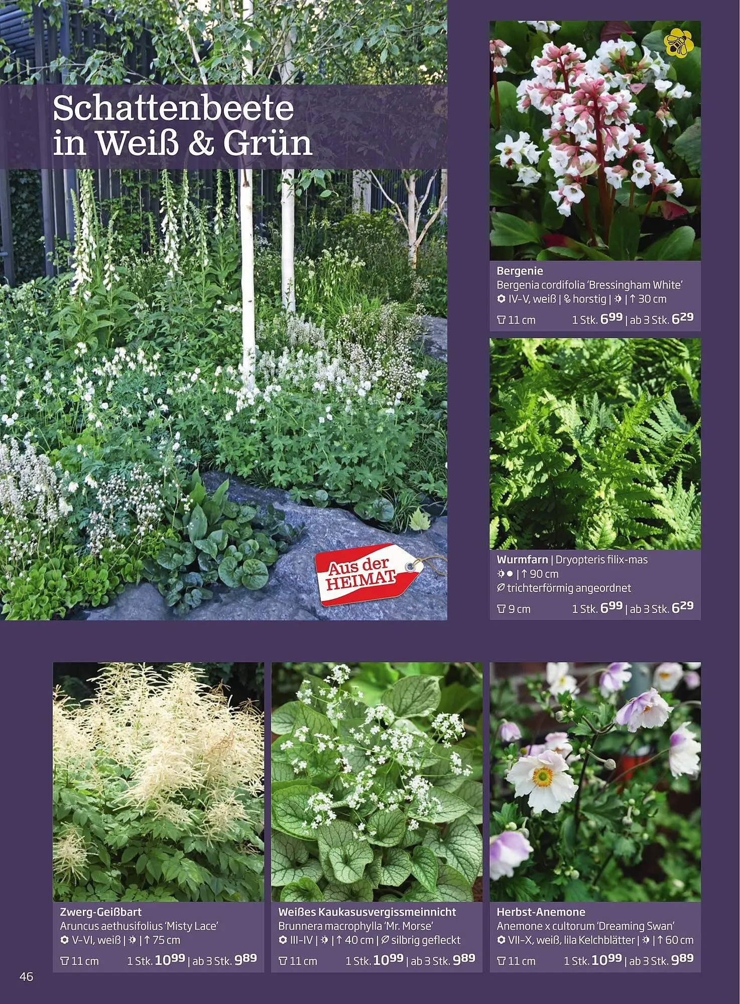 Starkl Flugblatt von 1. Jänner bis 31. Dezember 2023 - Flugblätt seite  46