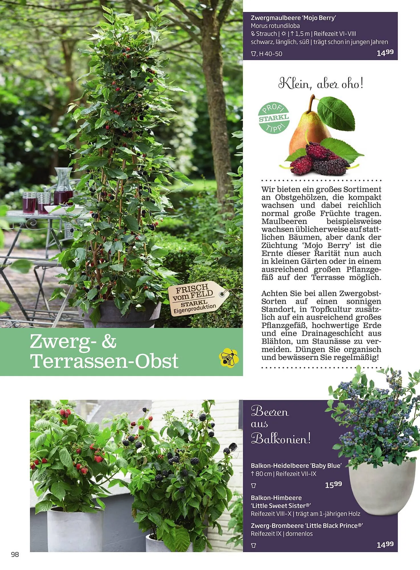 Starkl Flugblatt von 1. April bis 31. Dezember 2024 - Flugblätt seite  98