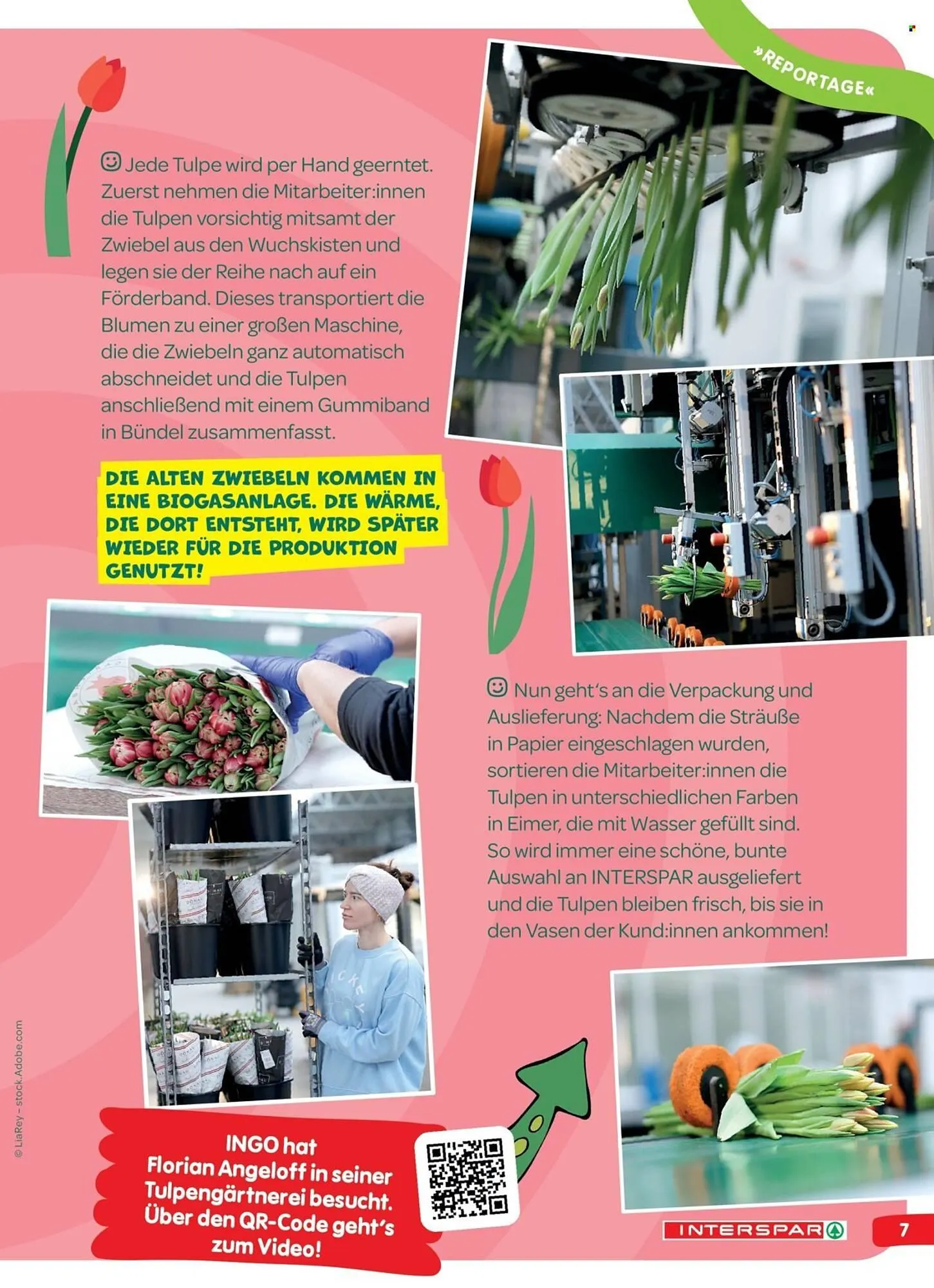 Interspar Flugblatt von 5. April bis 13. April 2026 - Flugblätt seite  7