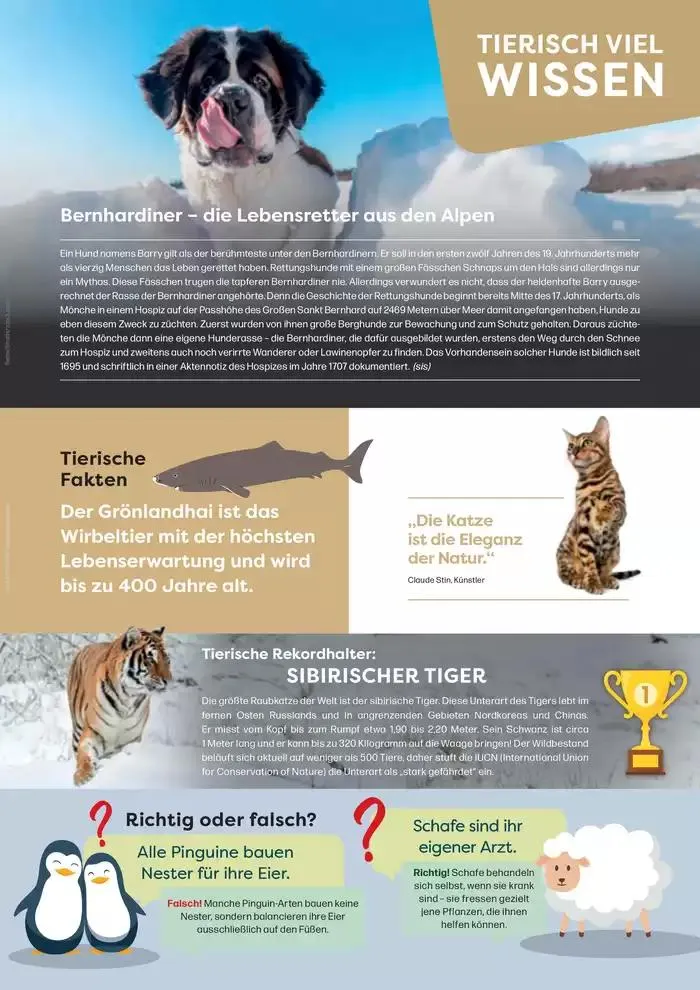 Angebote ZOO & Co von 29. November bis 13. Dezember 2024 - Flugblätt seite 3