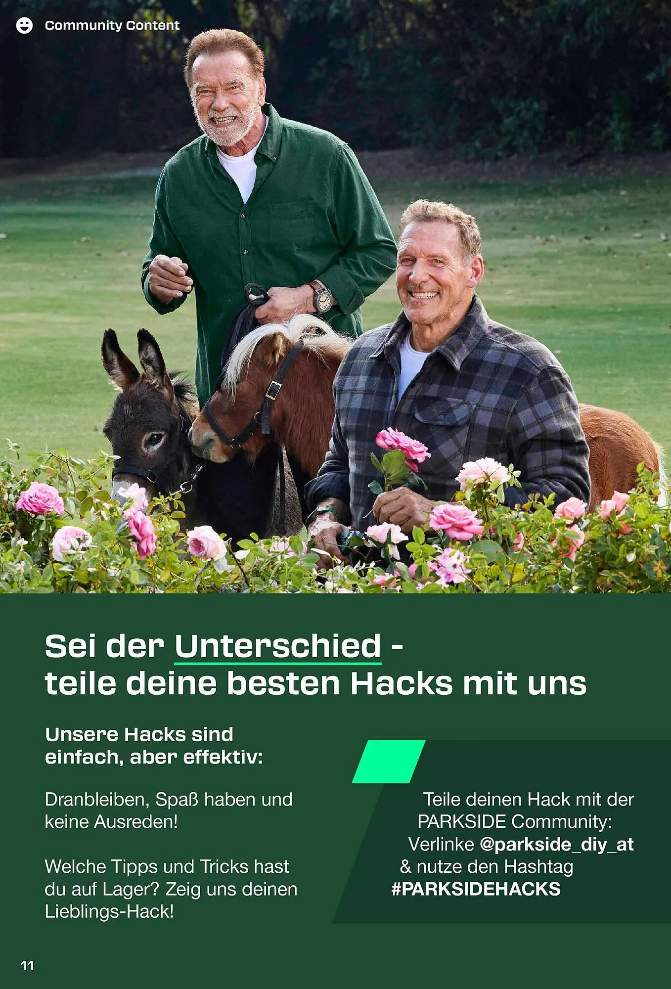 Lidl Flugblatt von 1. September bis 30. November 2025 - Flugblätt seite 11