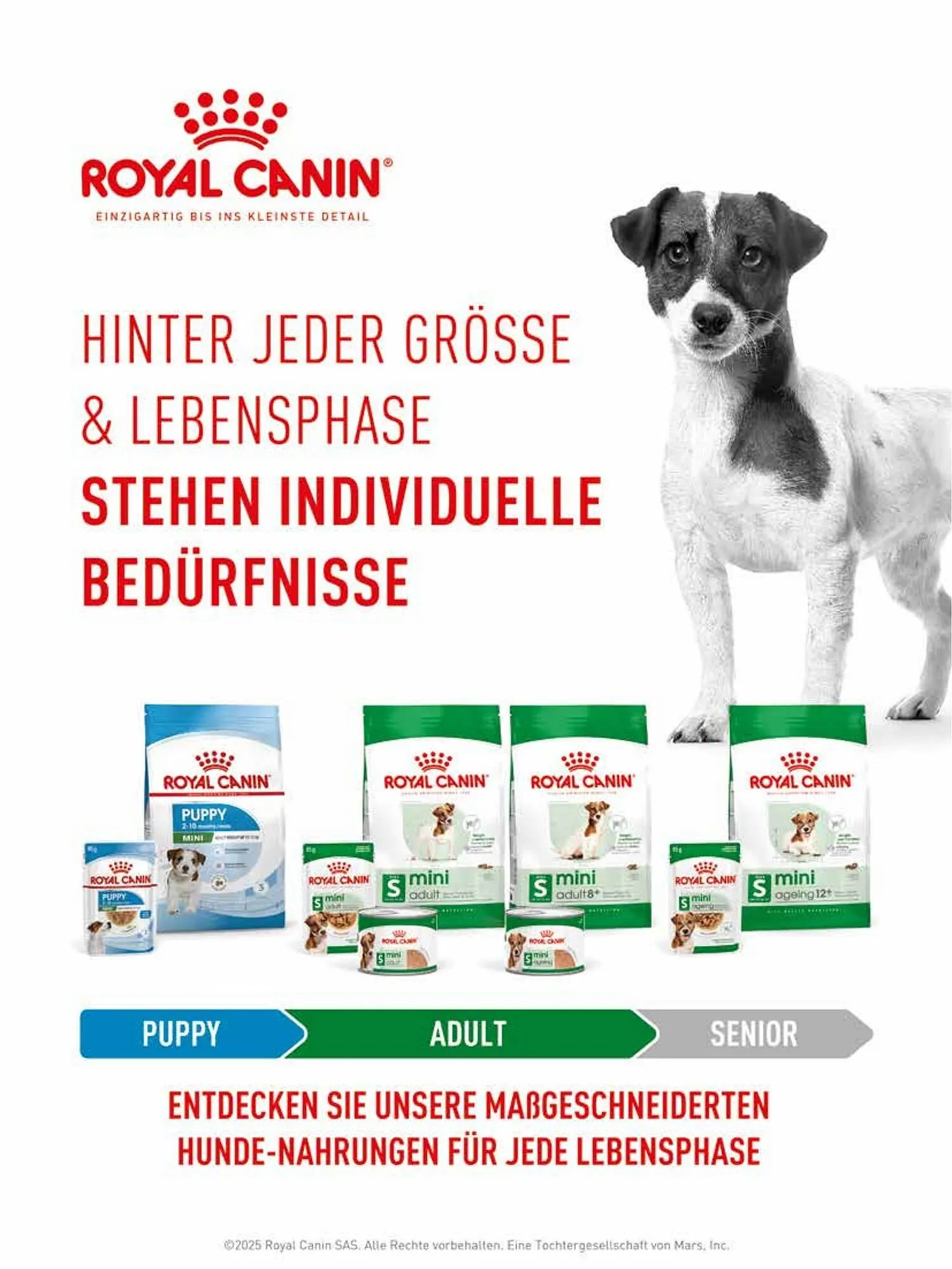 Das Futterhaus Prospekt von 17. Dezember bis 6. Jänner 2026 - Flugblätt seite 21