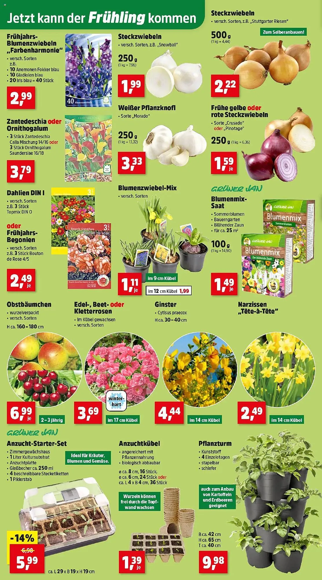 Thomas Philipps Prospekt von 16. Februar bis 21. Februar 2026 - Flugblätt seite 2