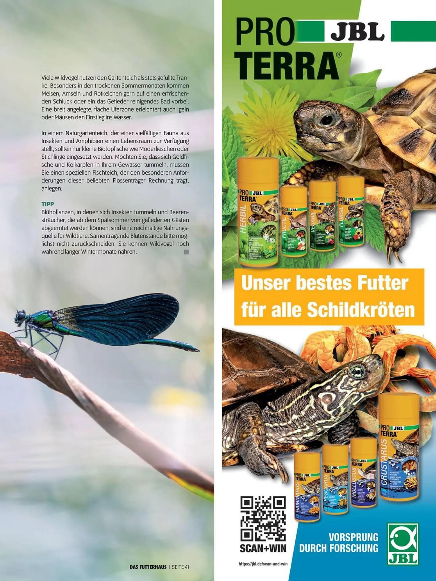 Das Futterhaus Flugblatt von 1. April bis 20. Mai 2024 - Flugblätt seite  41