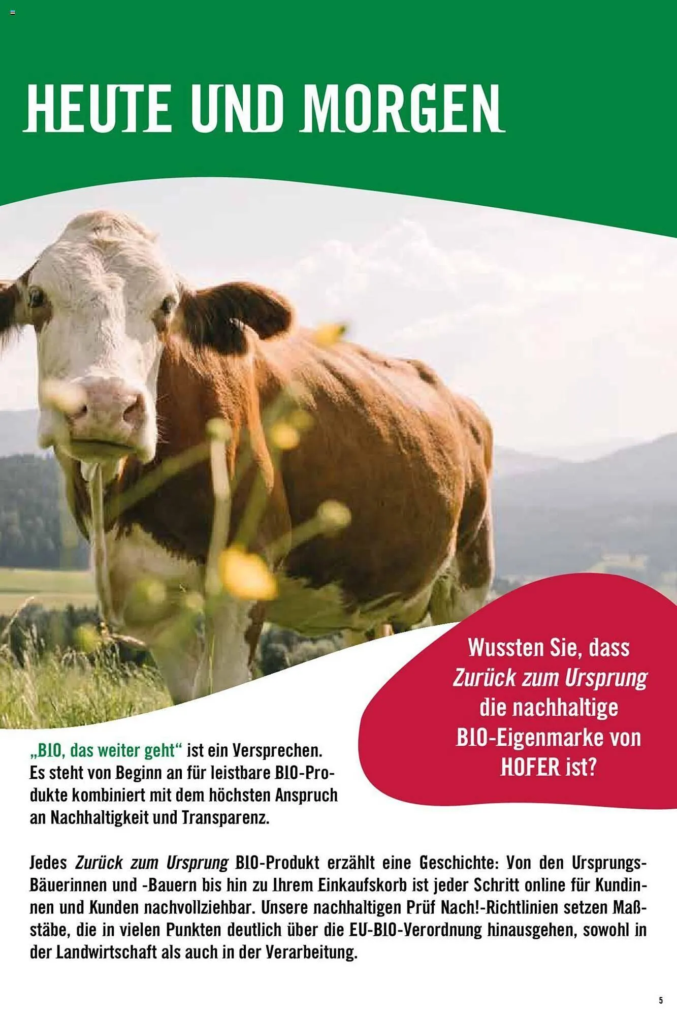 Hofer Flugblatt von 8. Oktober bis 4. März 2026 - Flugblätt seite  5