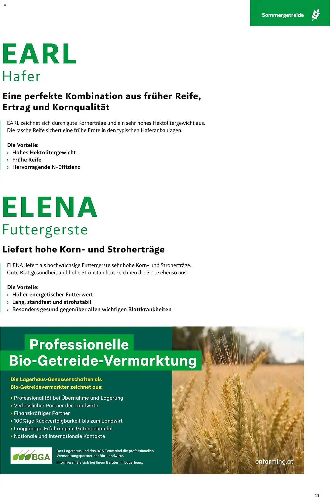 Lagerhaus Flugblatt von 1. März bis 31. Mai 2026 - Flugblätt seite 11