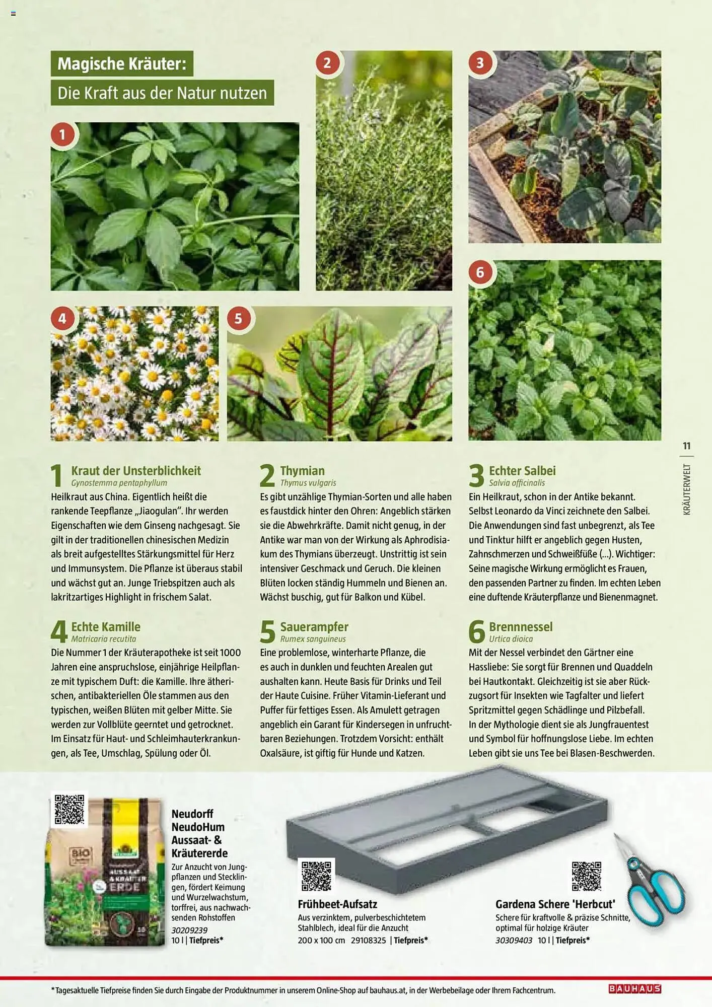 Bauhaus Flugblatt von 1. Juli bis 6. März 2026 - Flugblätt seite 11