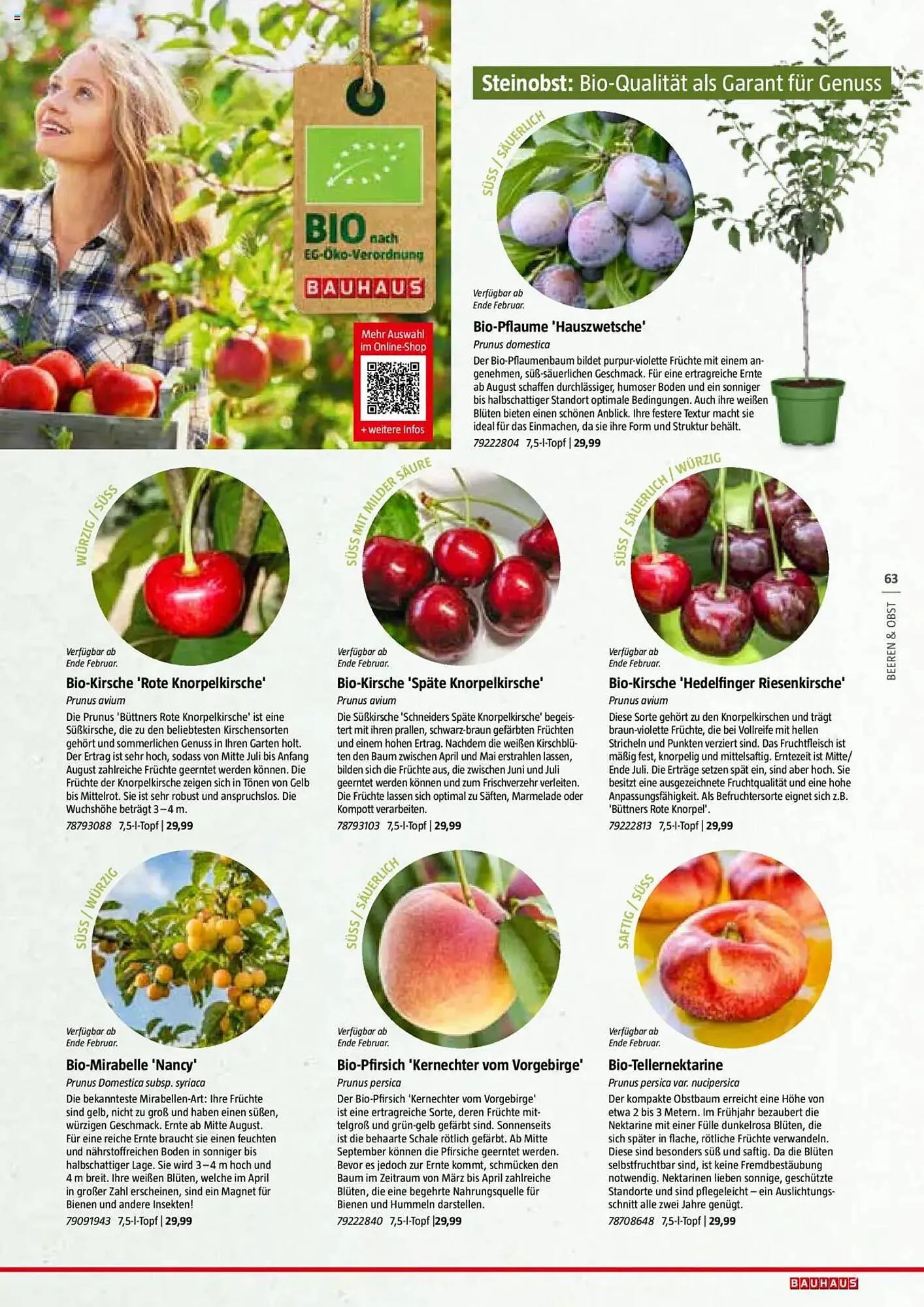 Bauhaus Flugblatt von 1. Juli bis 6. März 2026 - Flugblätt seite  63