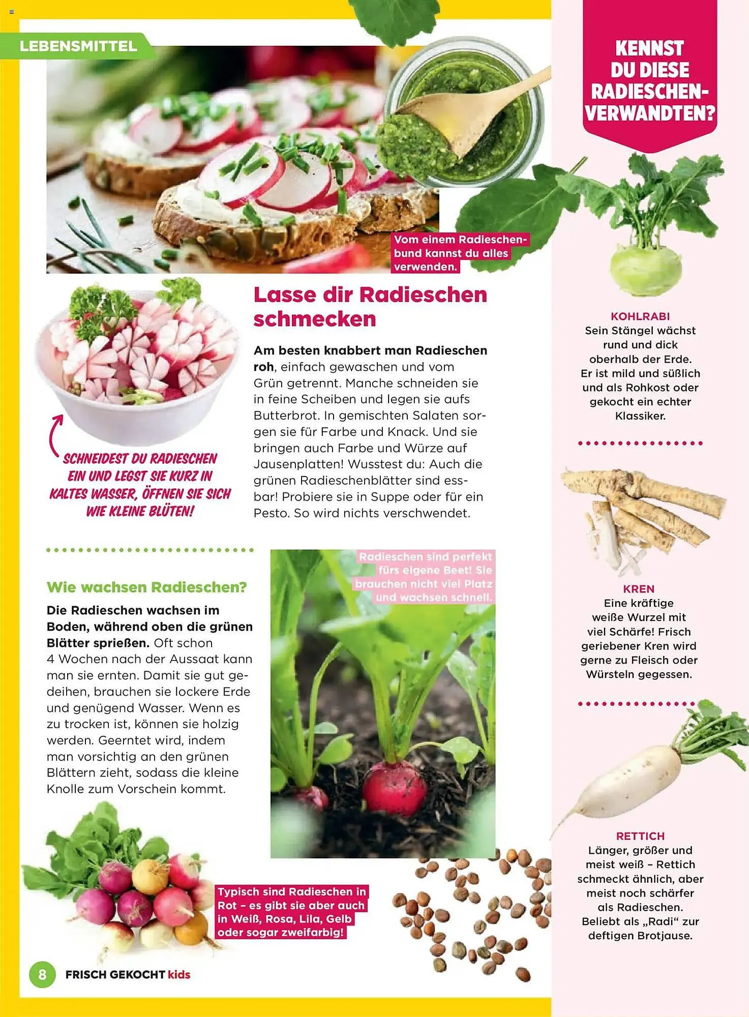 Billa Flugblatt von 1. März bis 31. Mai 2026 - Flugblätt seite 8