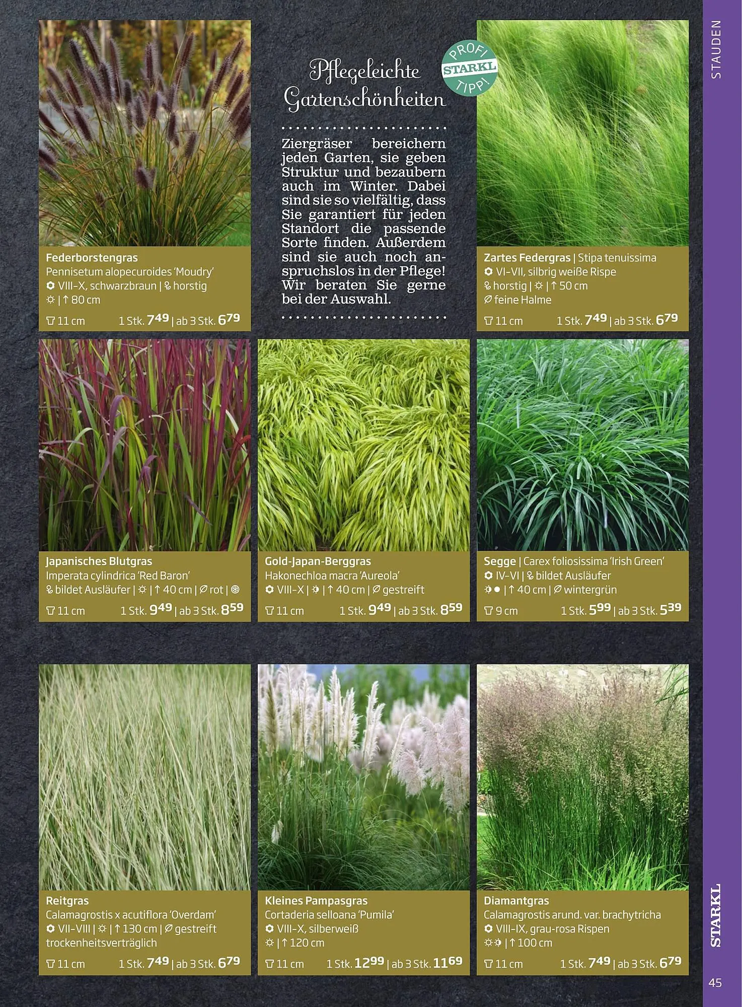 Starkl Flugblatt von 1. April bis 31. Dezember 2024 - Flugblätt seite  45