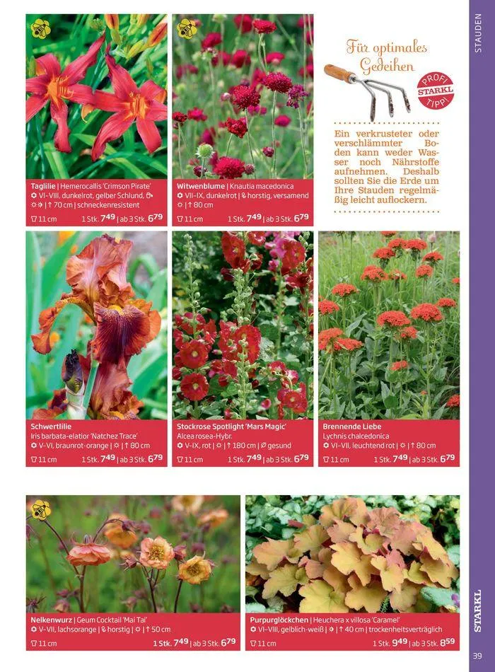 Gartencenter Jahreskatalog 2024 von 20. Mai bis 31. Dezember 2024 - Flugblätt seite  39