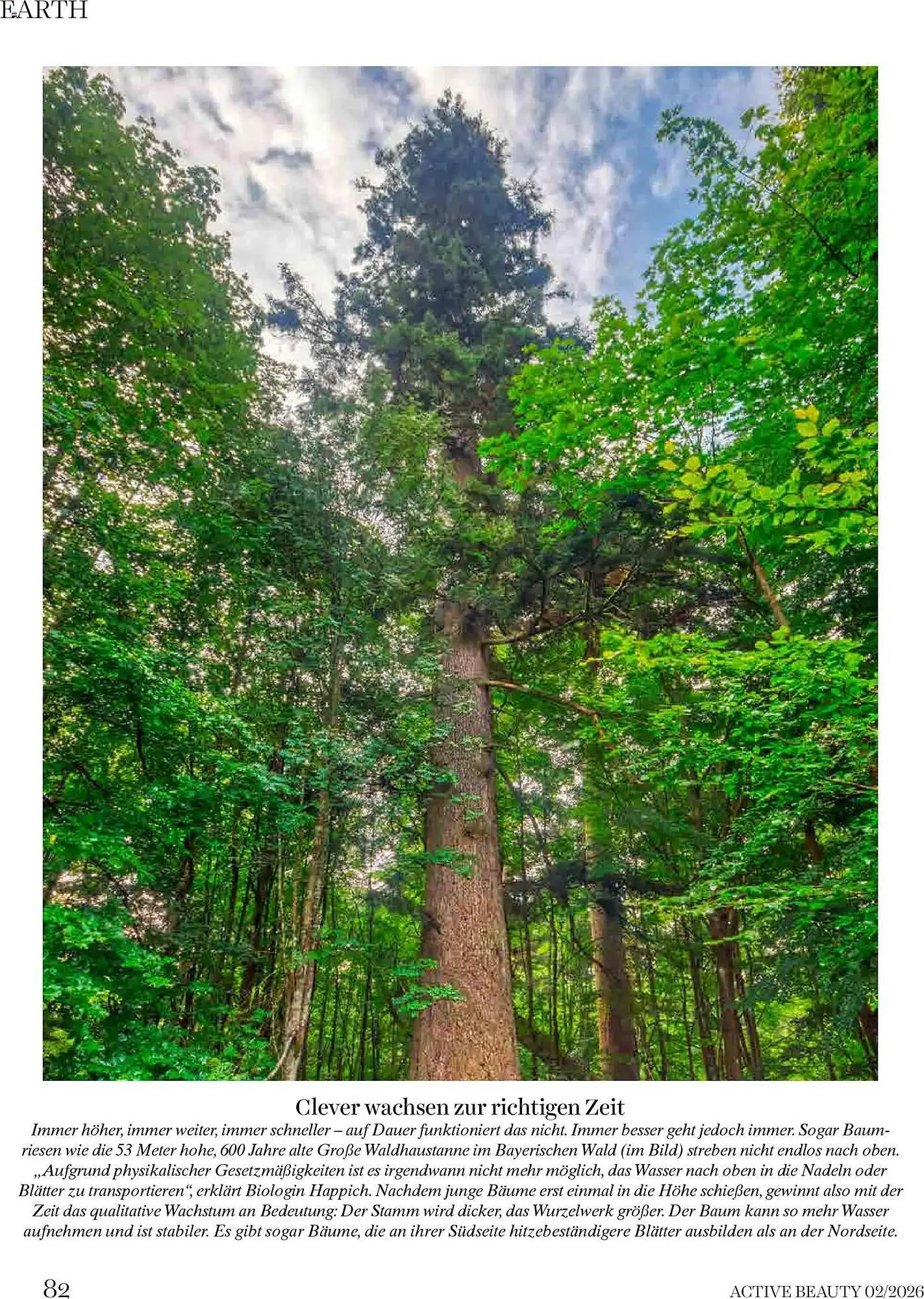 Dm Flugblatt von 1. Februar bis 28. Februar 2026 - Flugblätt seite  82