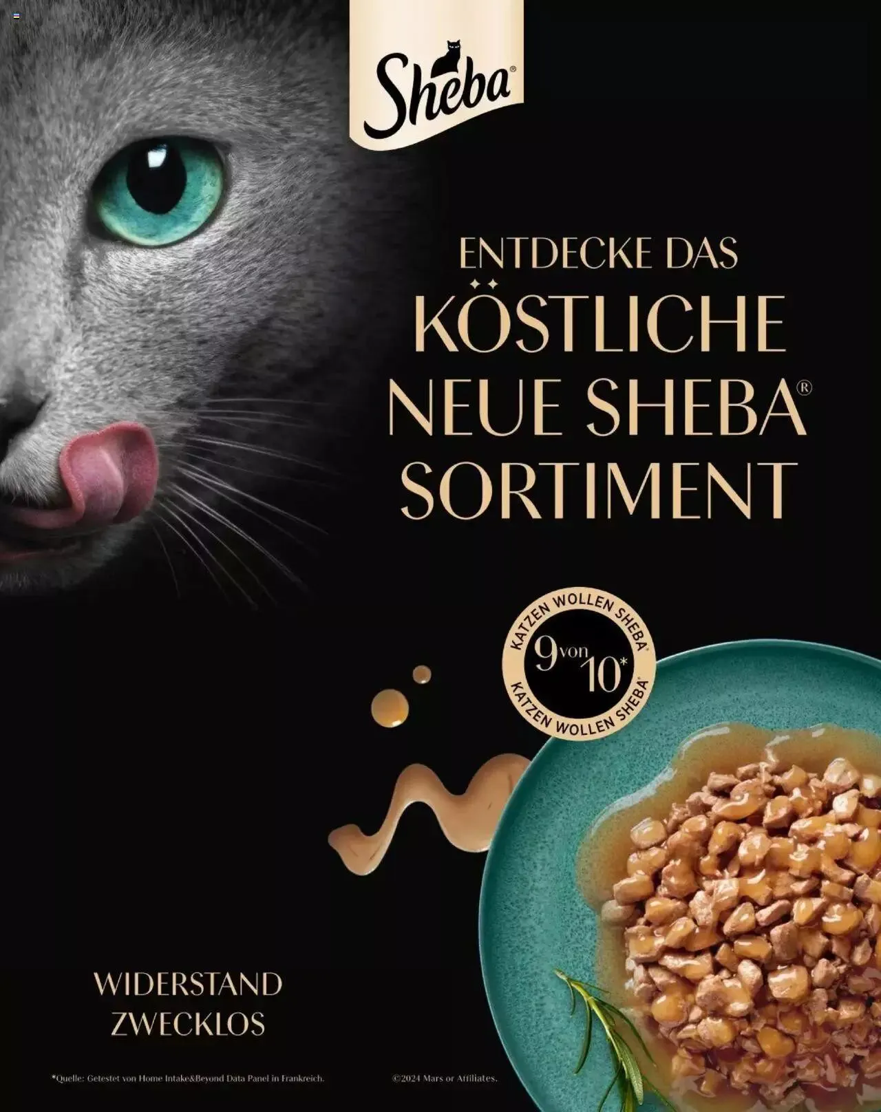 Fressnapf Friends 03/24 von 1. April bis 31. Dezember 2024 - Flugblätt seite 43