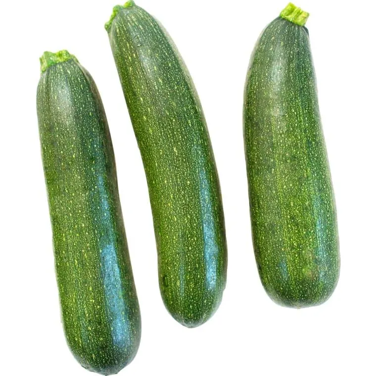 M-BIO Bio Zucchini