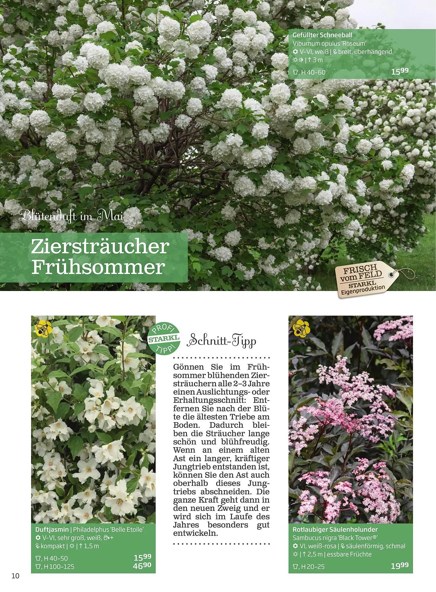 Starkl Flugblatt von 1. Jänner bis 31. Dezember 2023 - Flugblätt seite 10