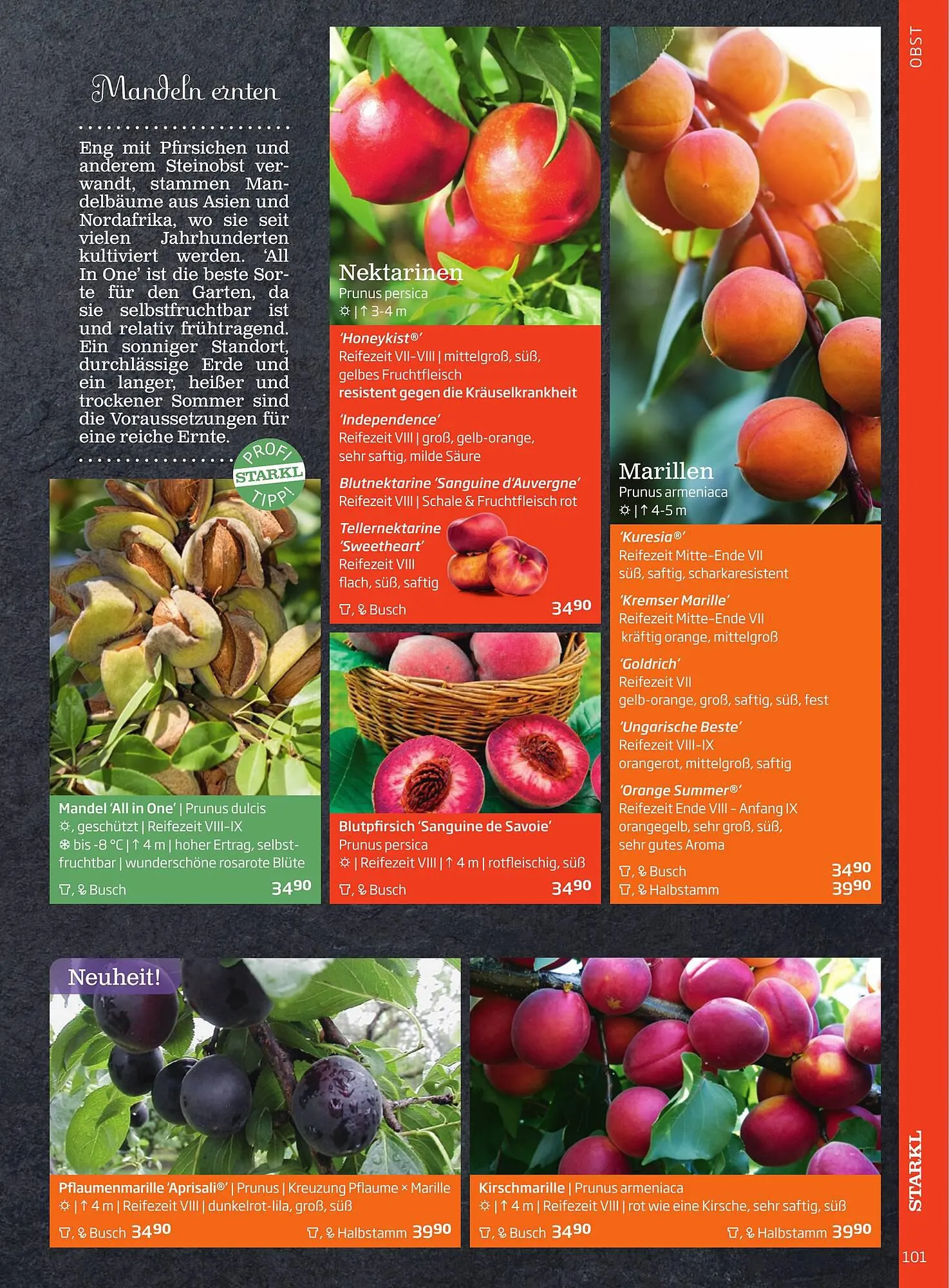 Starkl Flugblatt von 1. April bis 31. Dezember 2024 - Flugblätt seite 101