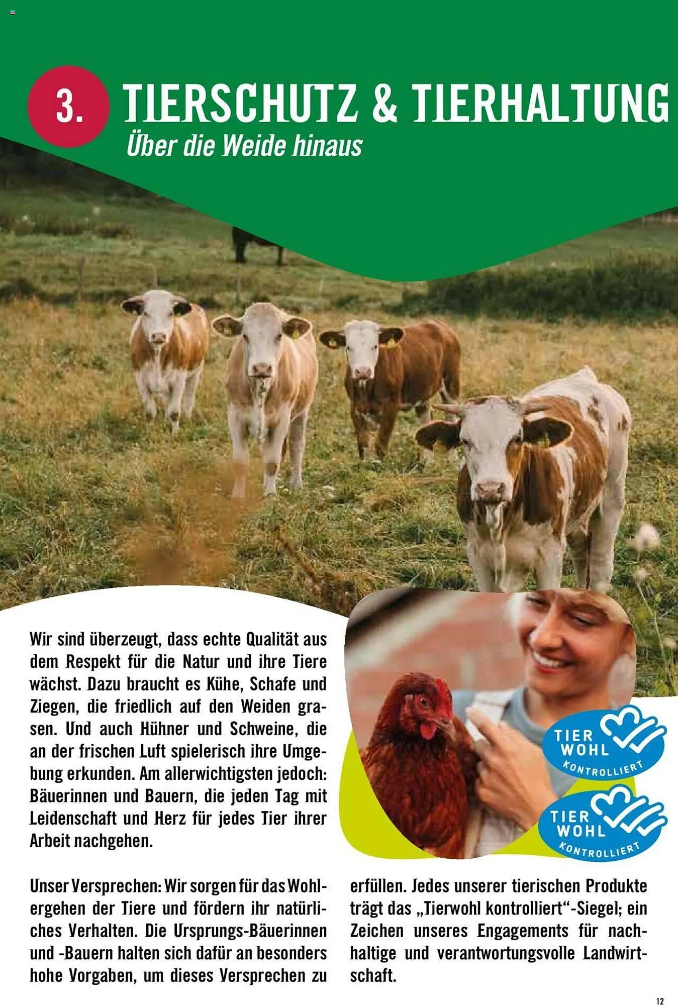 Hofer Flugblatt von 8. Oktober bis 4. März 2026 - Flugblätt seite  12