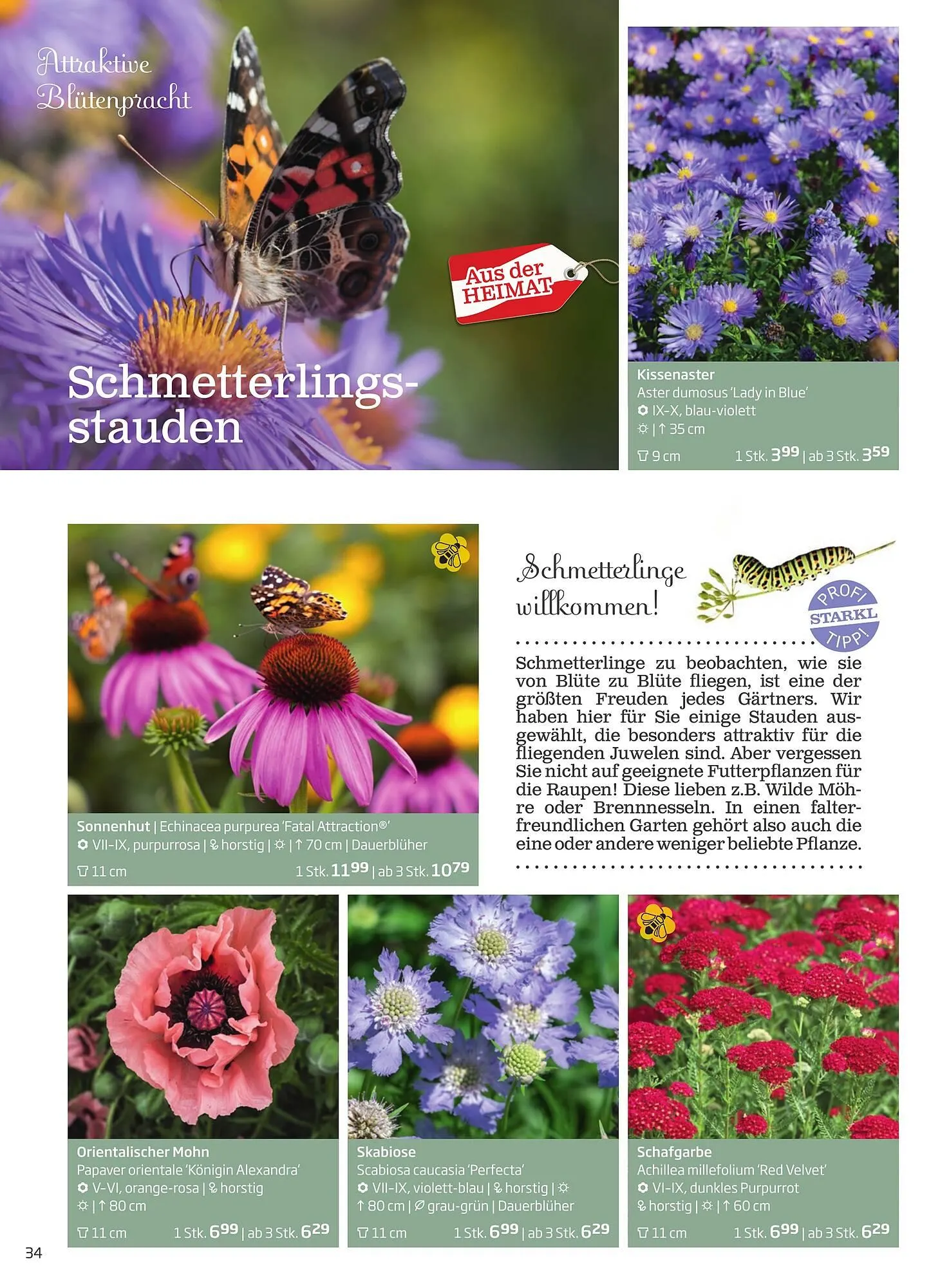 Starkl Flugblatt von 1. Jänner bis 31. Dezember 2023 - Flugblätt seite  34