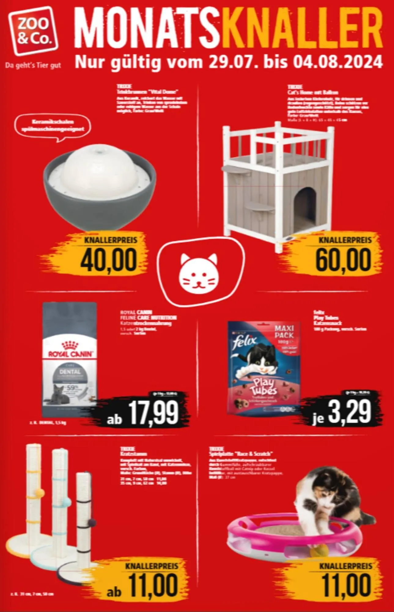 ZOO & Co Flugblatt - 1