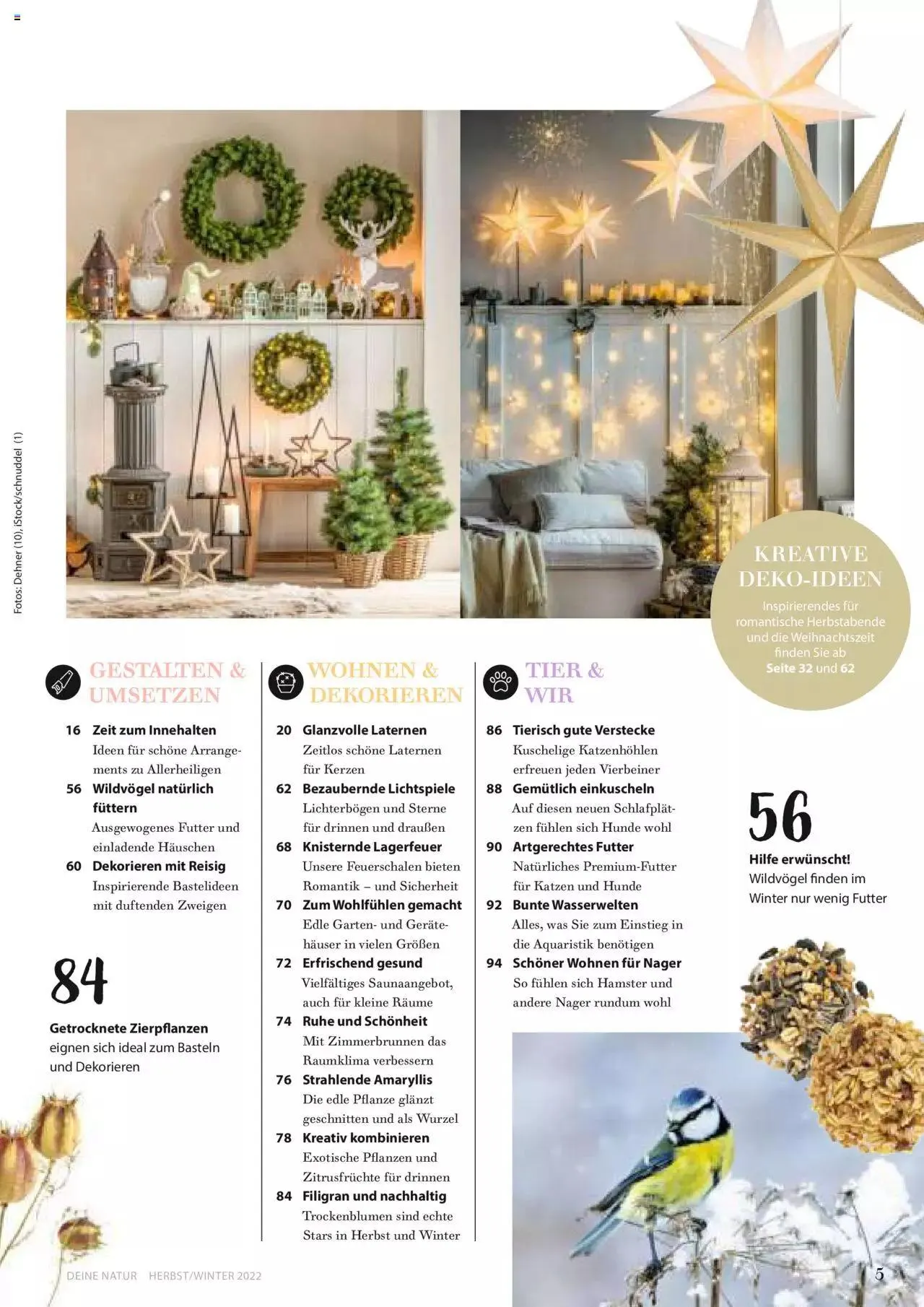 Dehner Flugblatt von 10. Oktober bis 31. Dezember 2023 - Flugblätt seite 5