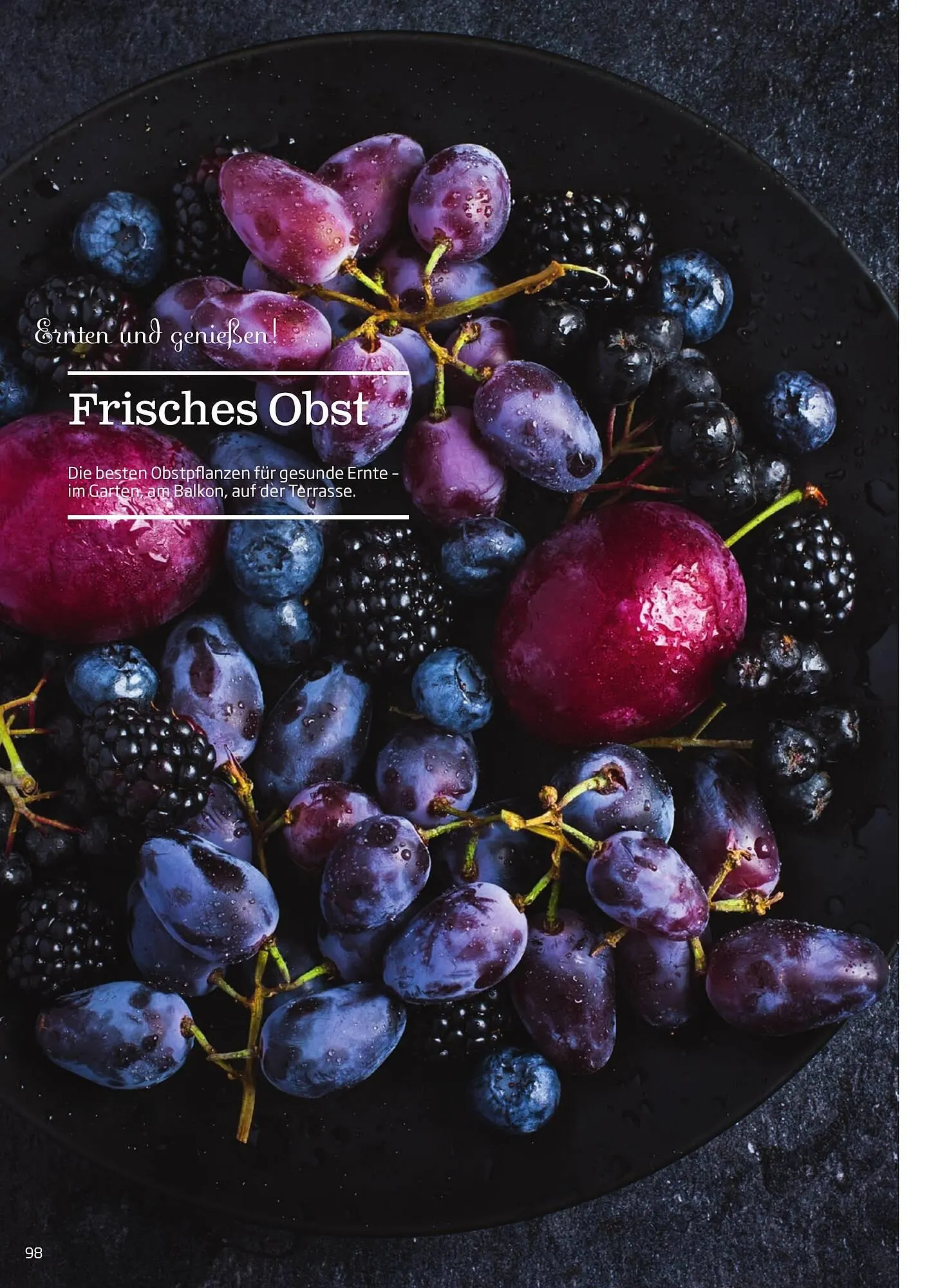 Starkl Flugblatt von 6. Juni bis 31. Dezember 2025 - Flugblätt seite  98