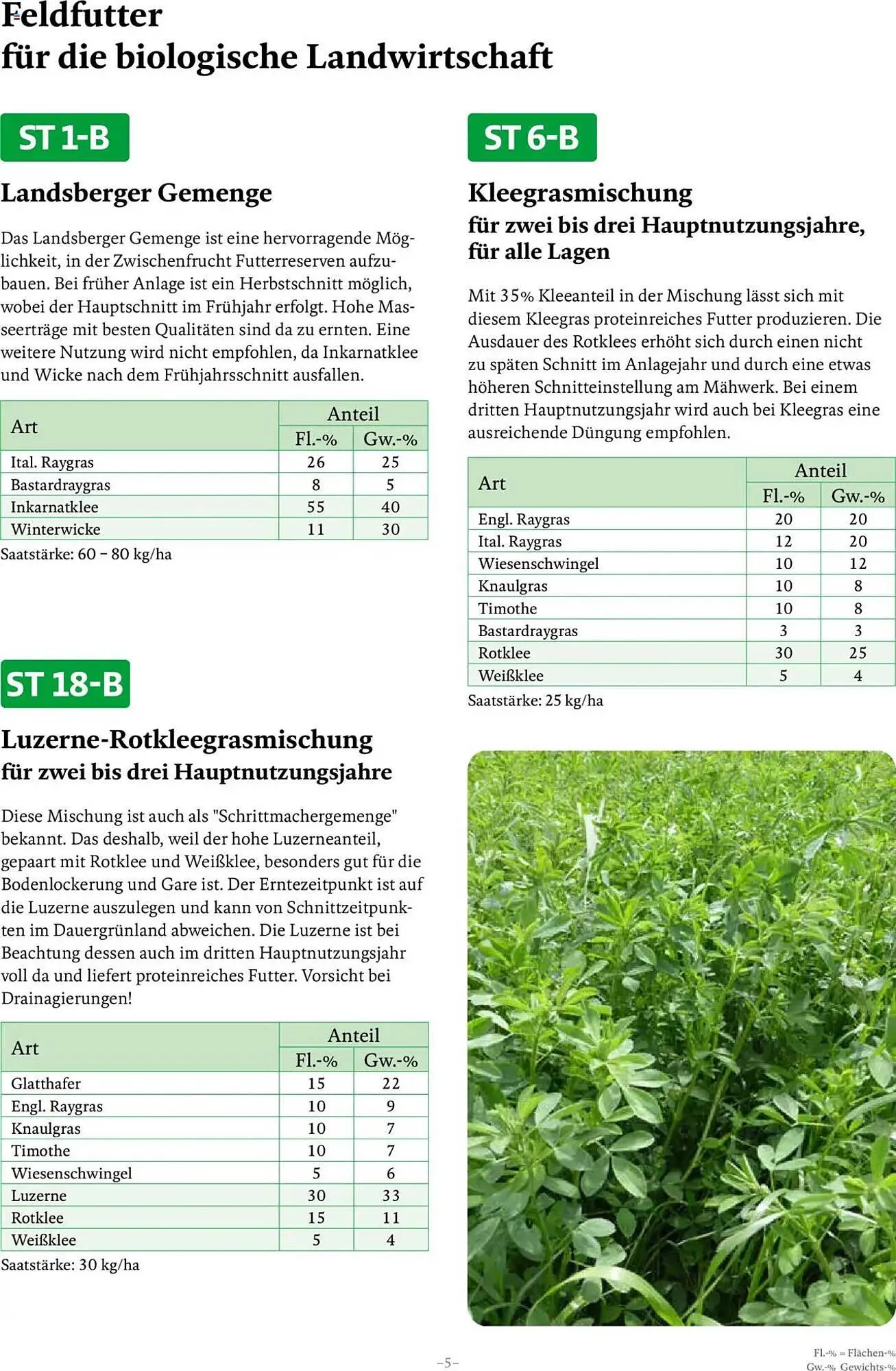 Lagerhaus Flugblatt von 13. Februar bis 31. Dezember 2025 - Flugblätt seite  5