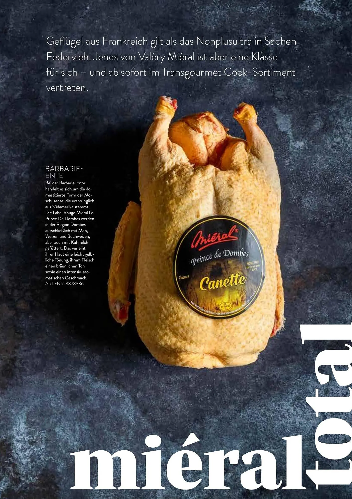 Transgourmet Flugblatt von 13. Februar bis 31. März 2026 - Flugblätt seite 41