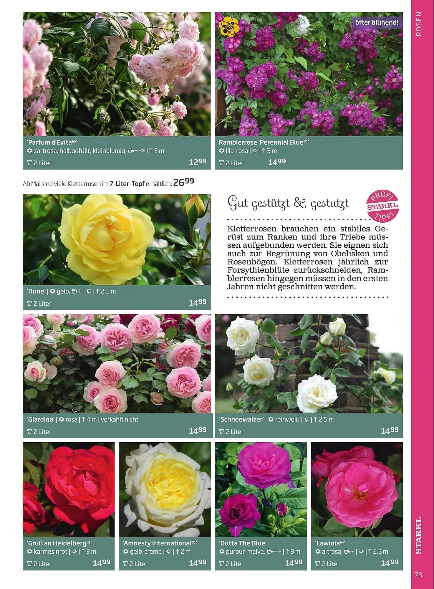 Starkl Flugblatt von 6. Juni bis 31. Dezember 2025 - Flugblätt seite  73