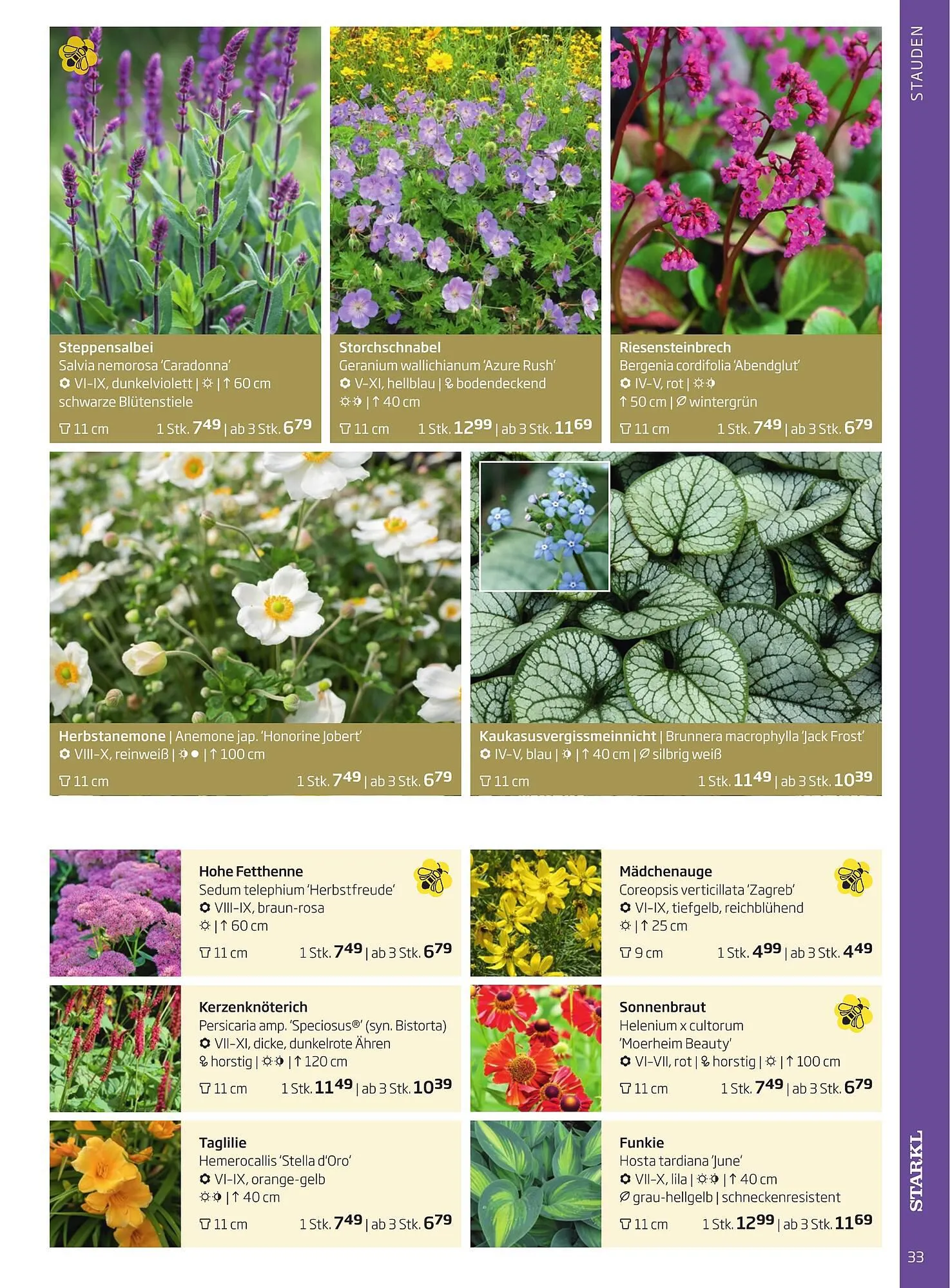 Starkl Flugblatt von 1. April bis 31. Dezember 2024 - Flugblätt seite  33