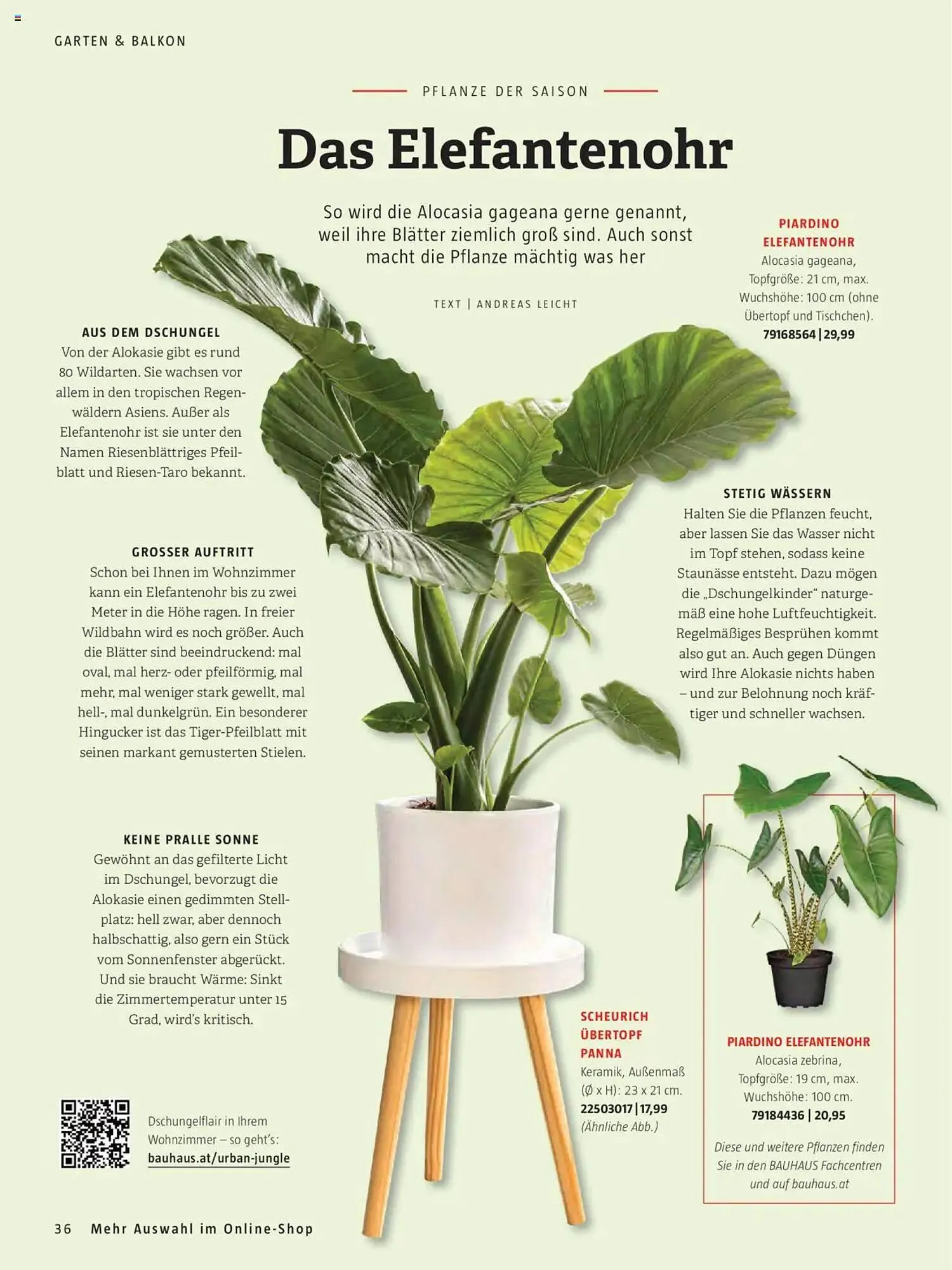 Bauhaus Flugblatt von 1. Oktober bis 31. März 2026 - Flugblätt seite  36