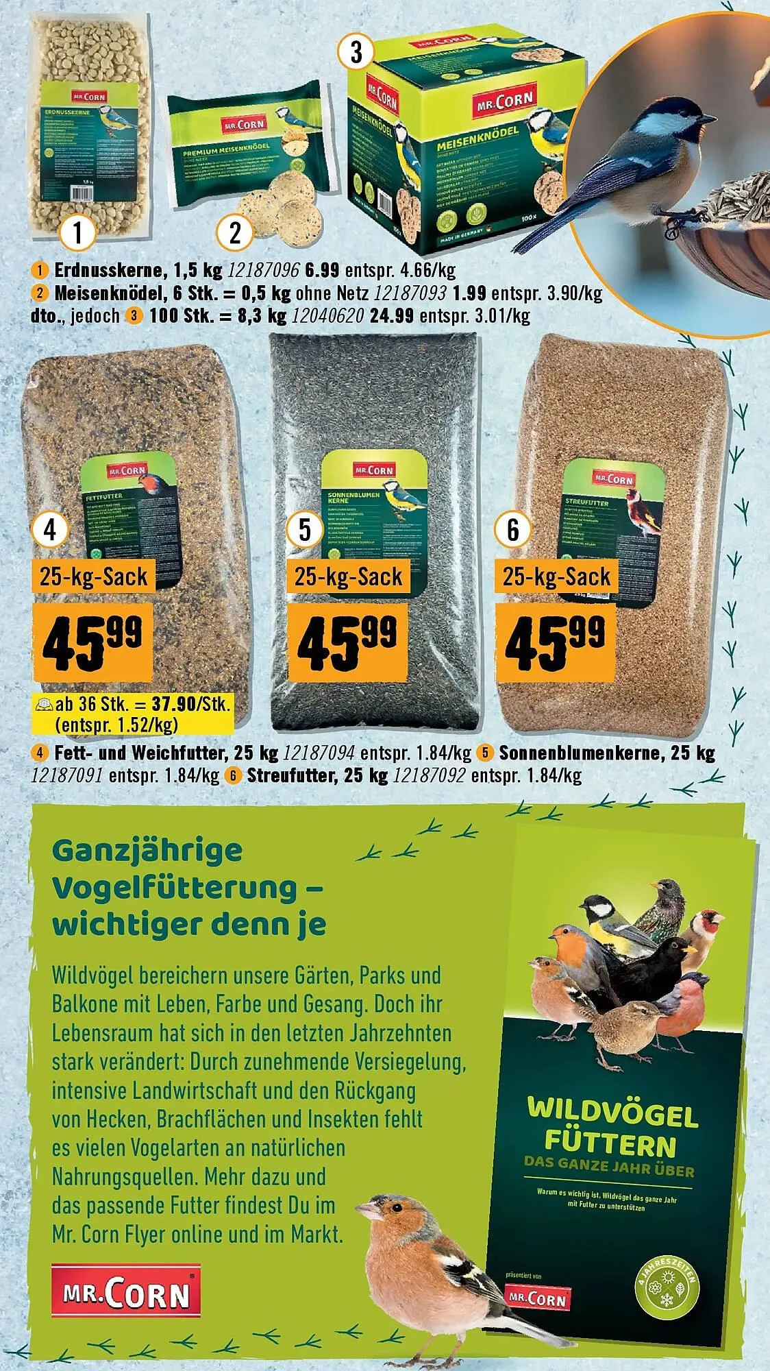 Hornbach Flugblatt von 19. November bis 17. Dezember 2025 - Flugblätt seite  15